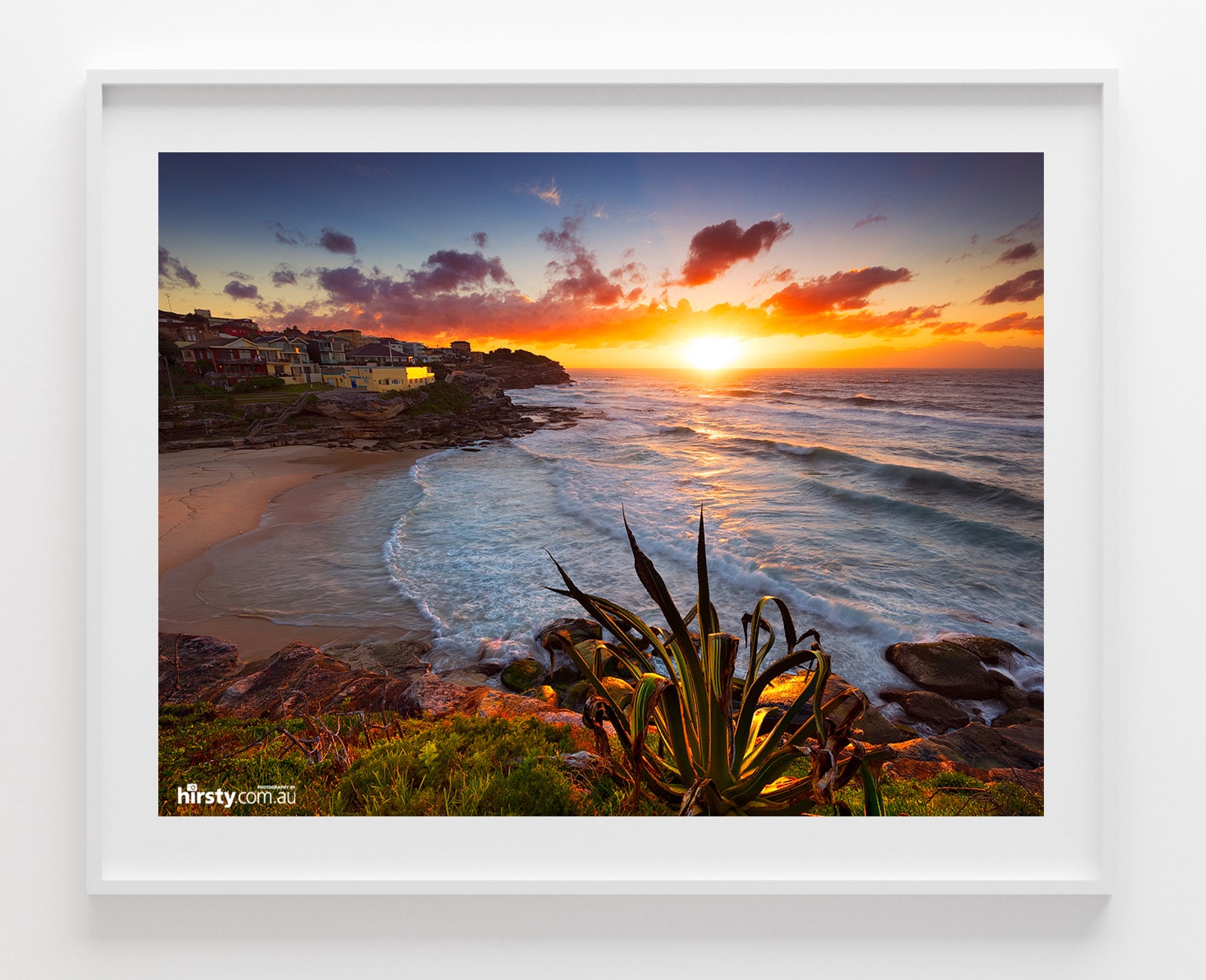 Basking, Tamarama
