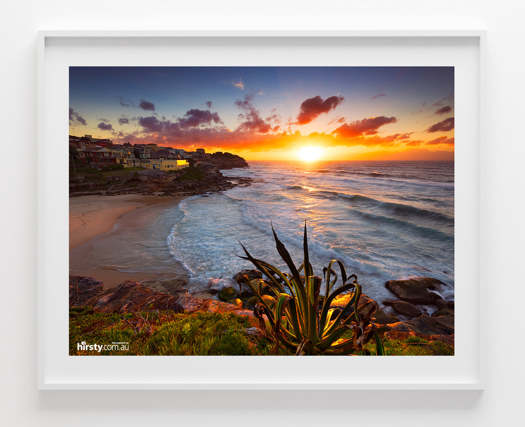 Basking, Tamarama, fine art photograph by Richard Hirst