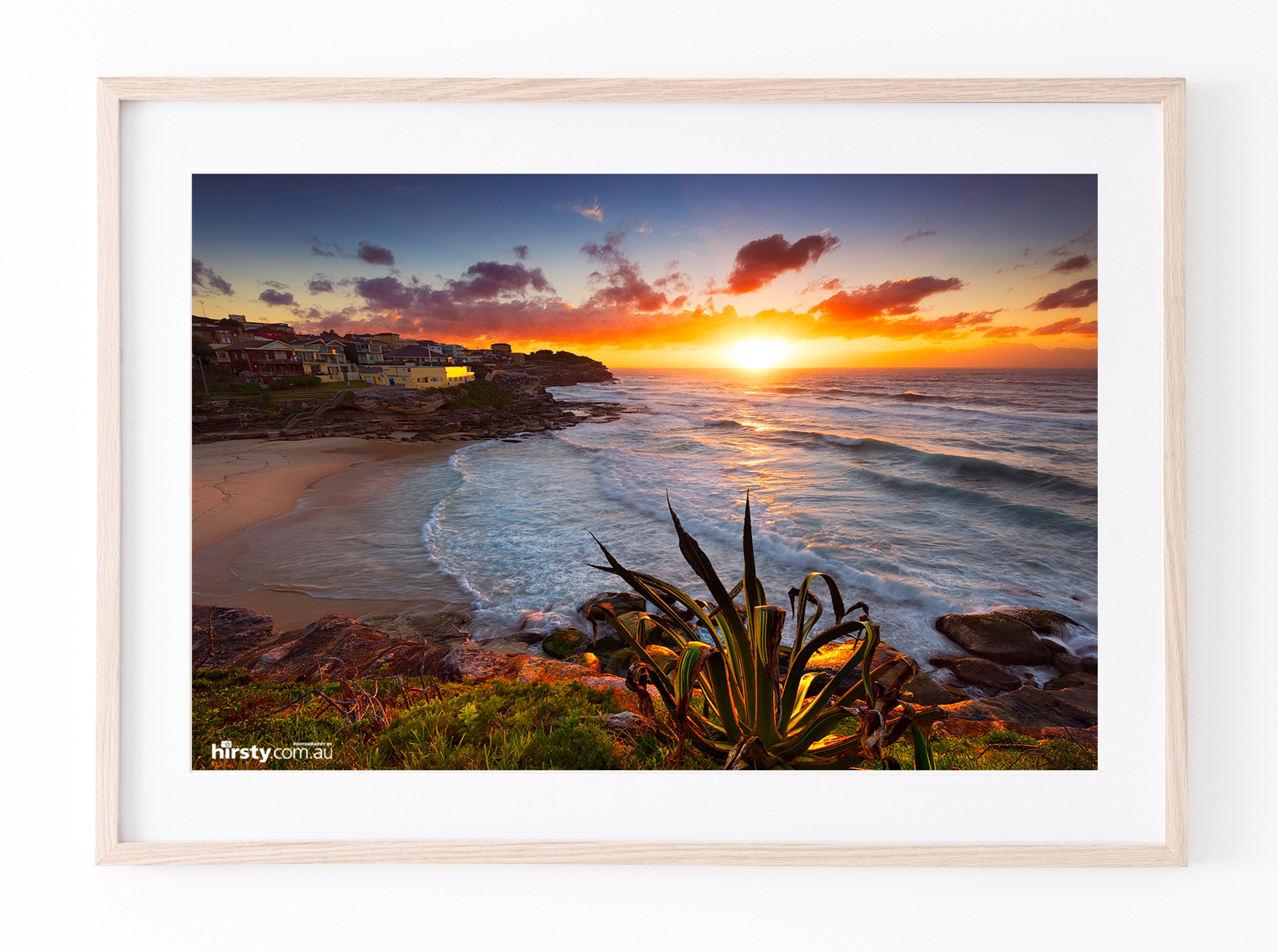 Basking, Tamarama