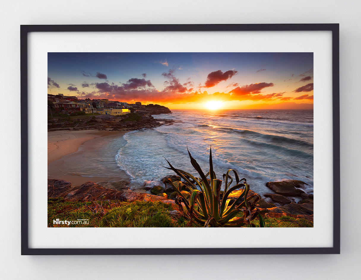 Basking, Tamarama