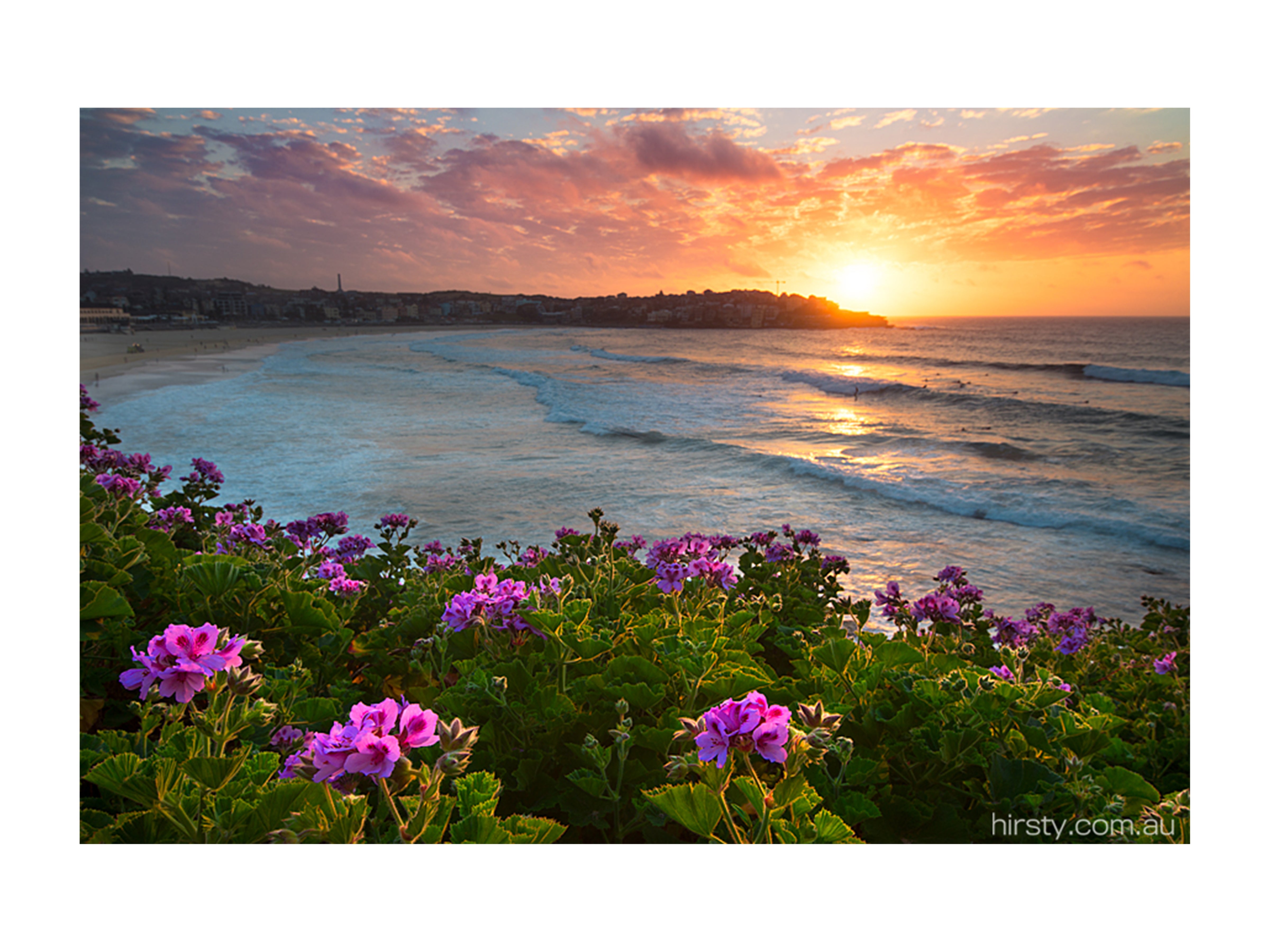 Bloom, Bondi Beach
