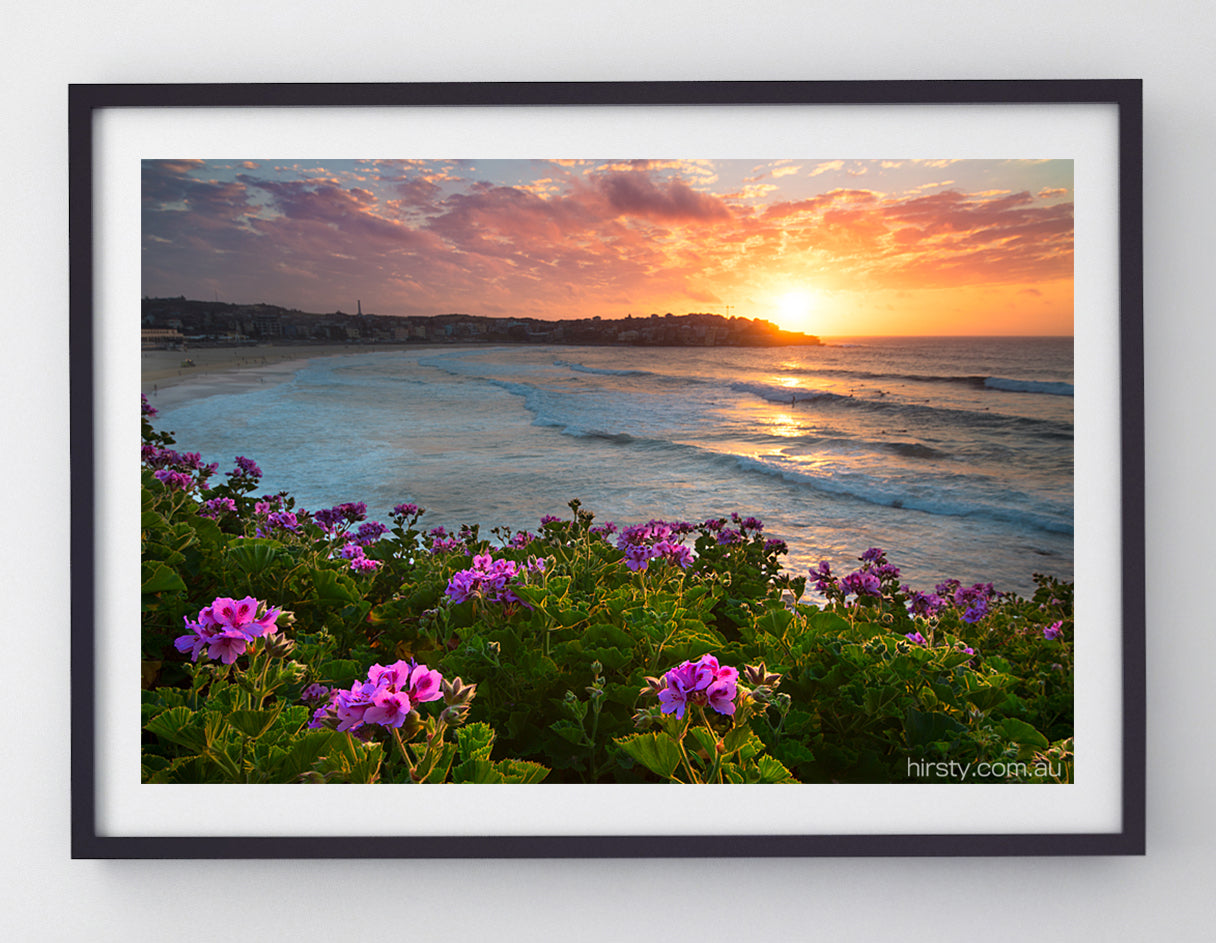 Bloom, Bondi Beach