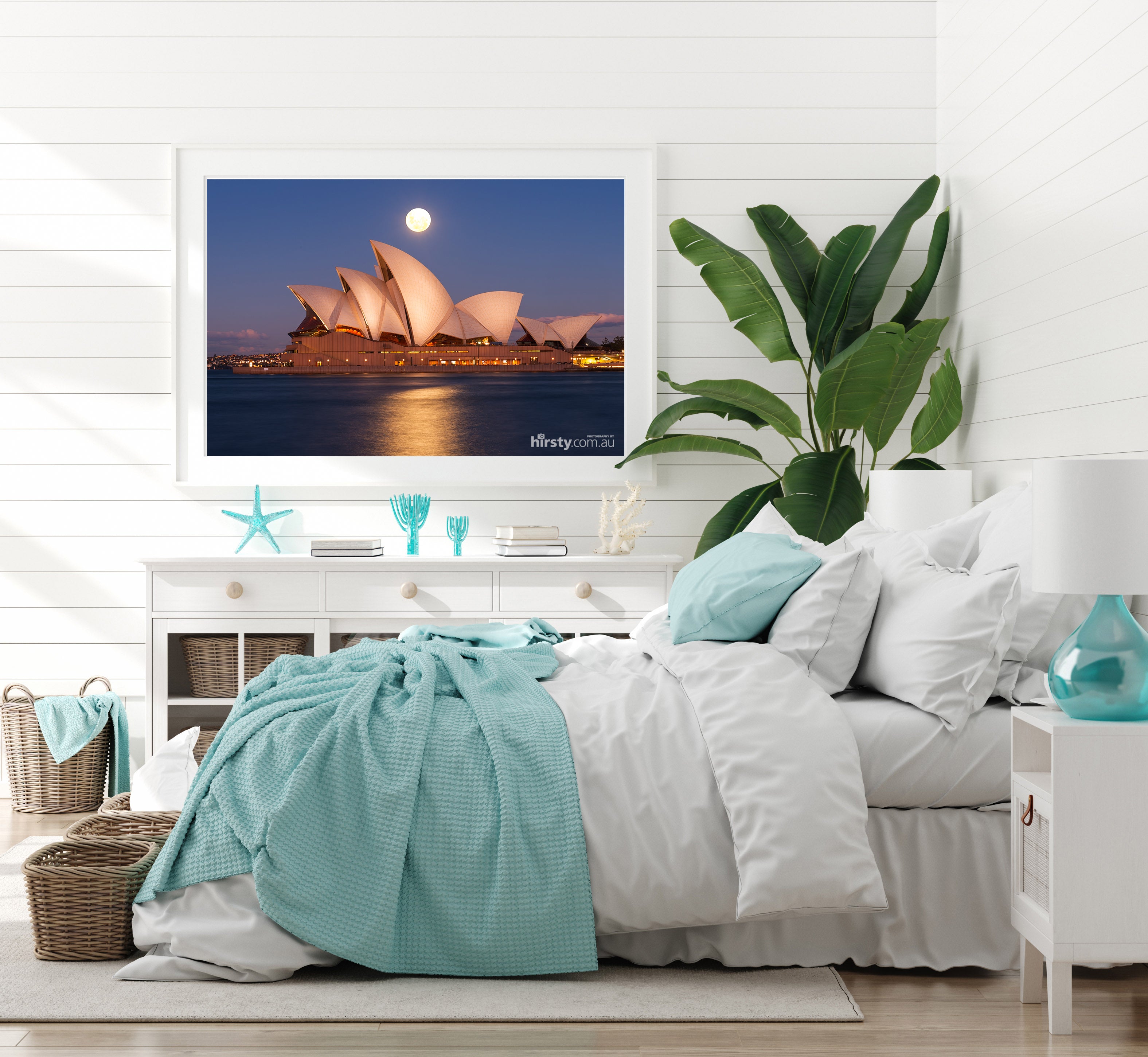 Blue Moon, Sydney Harbour
