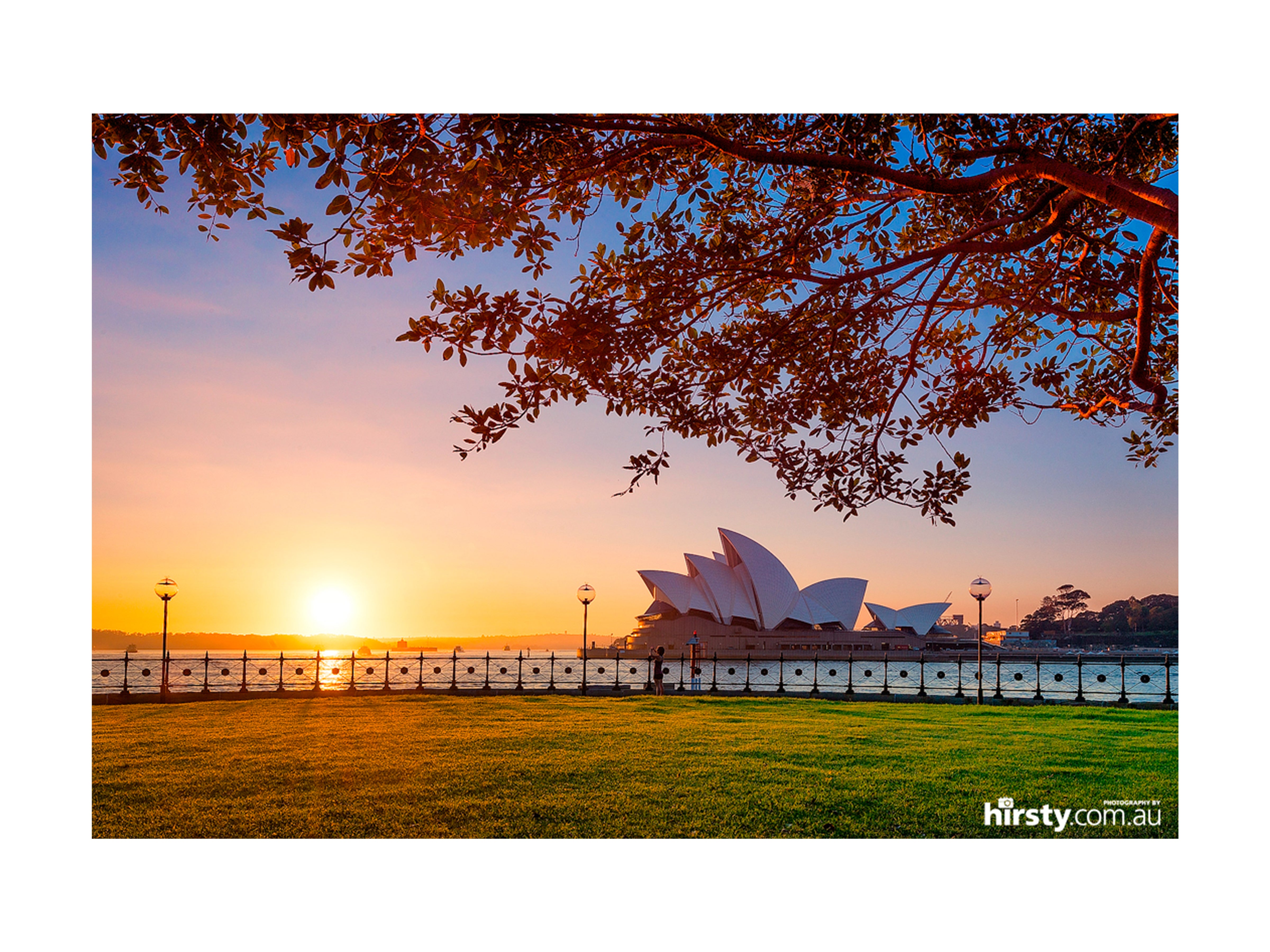 Branching Out, Sydney Harbour