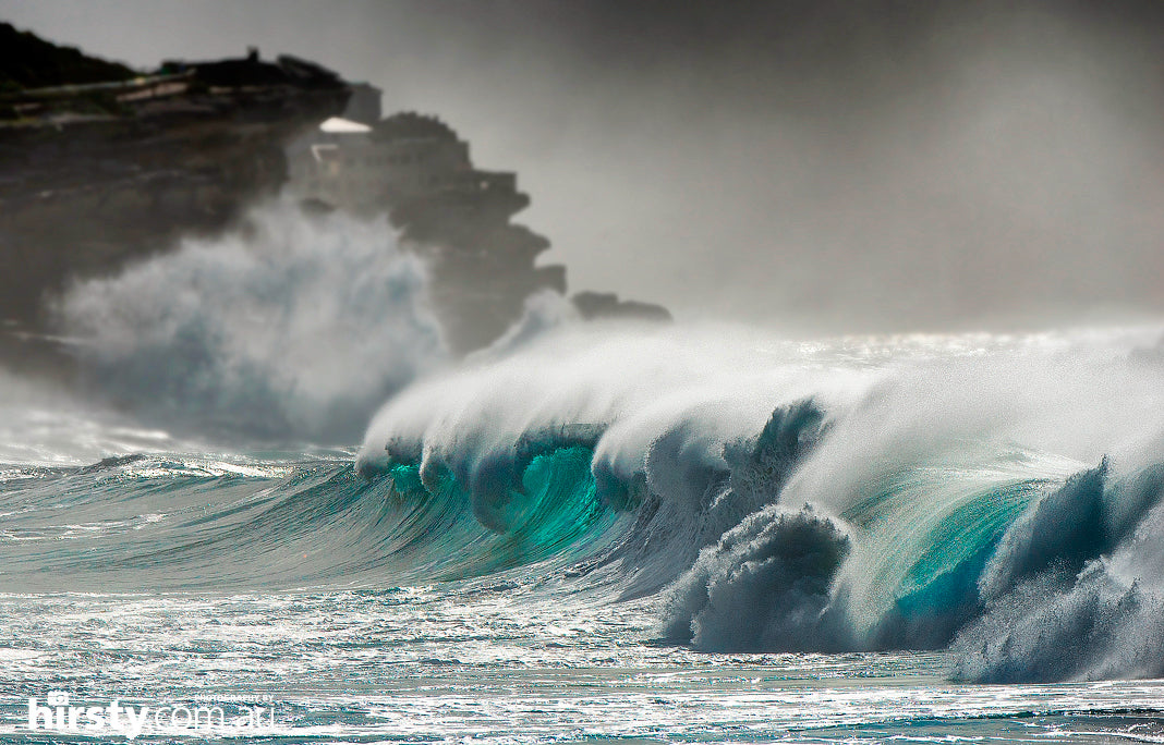 Claws, Bronte Beach print