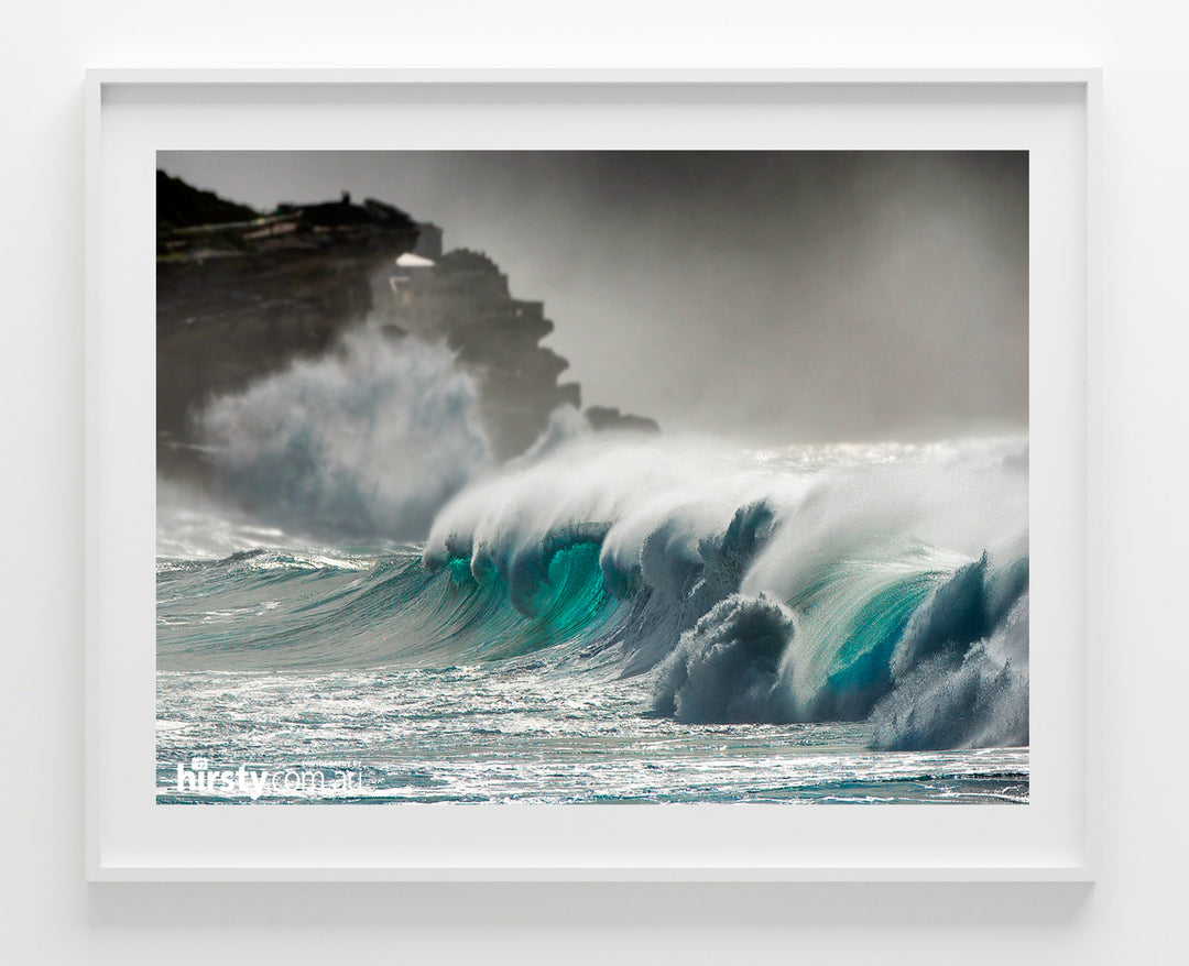 Claws, Bronte Beach print