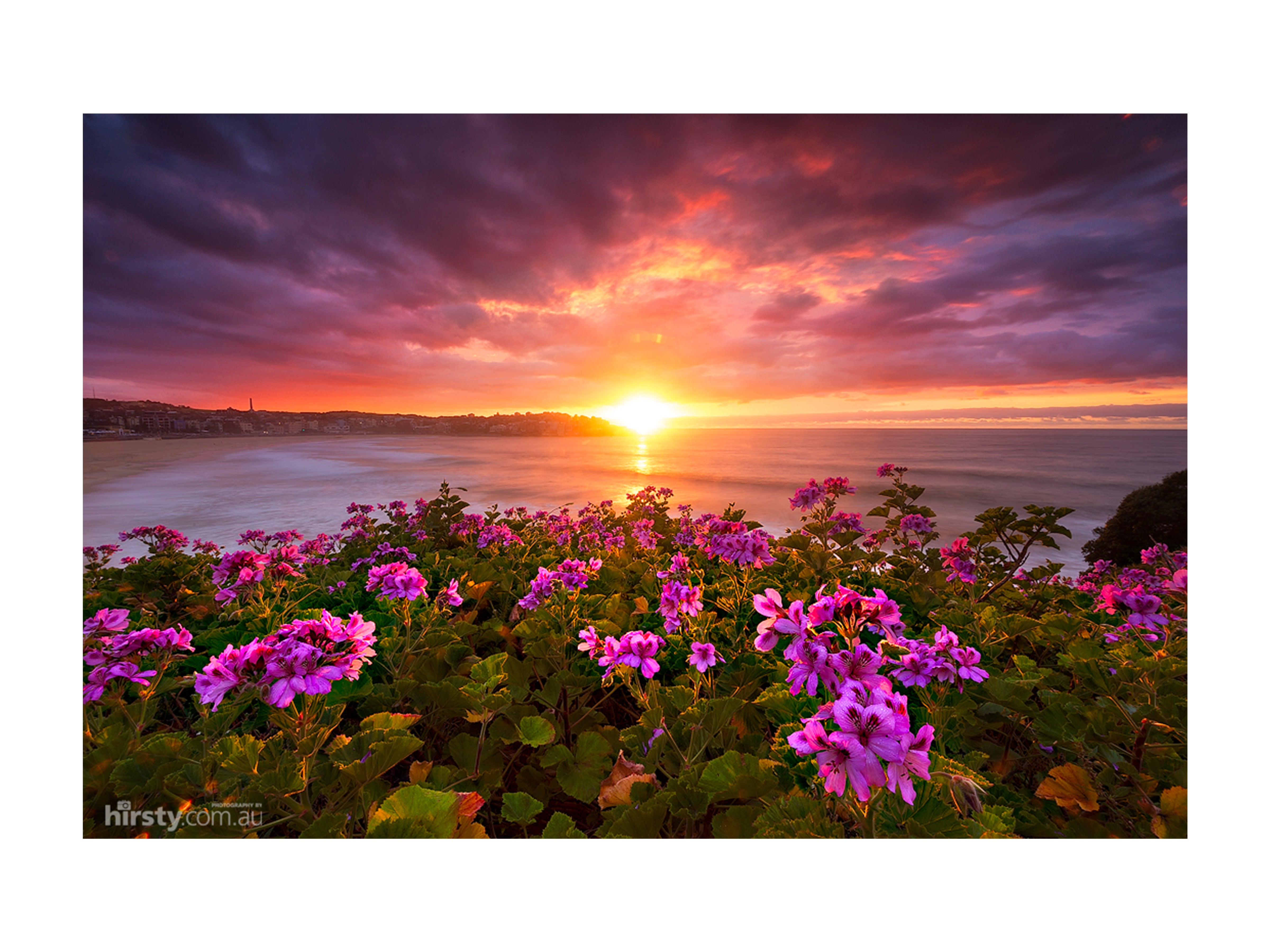 Colours of Spring, Bondi Beach