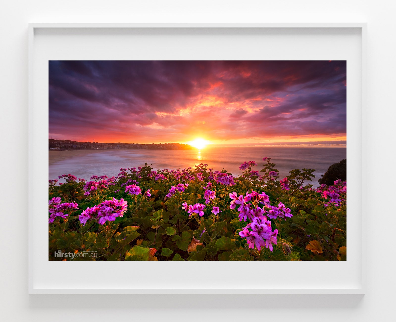 Colours of Spring, Bondi Beach