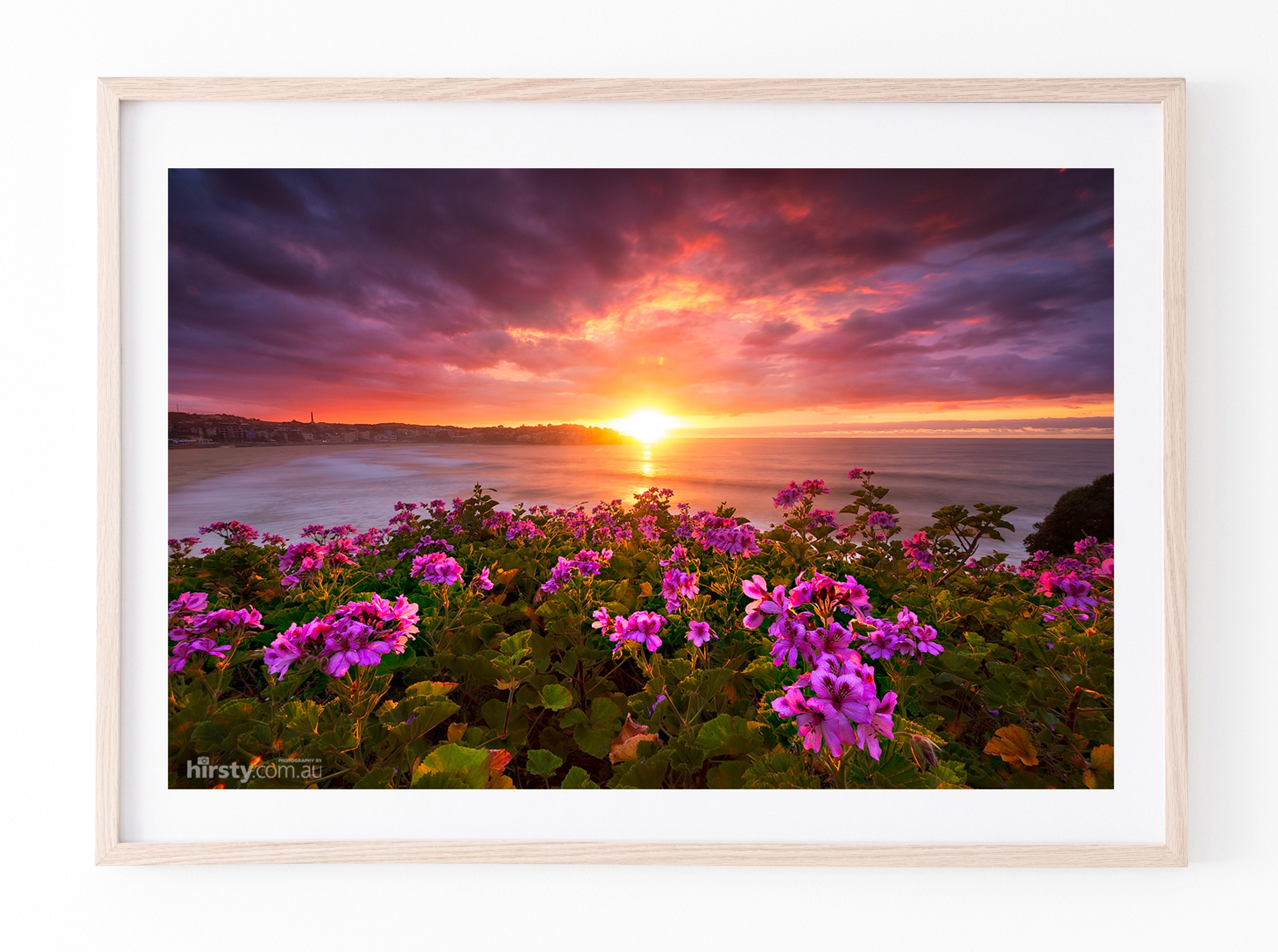 Colours of Spring, Bondi Beach