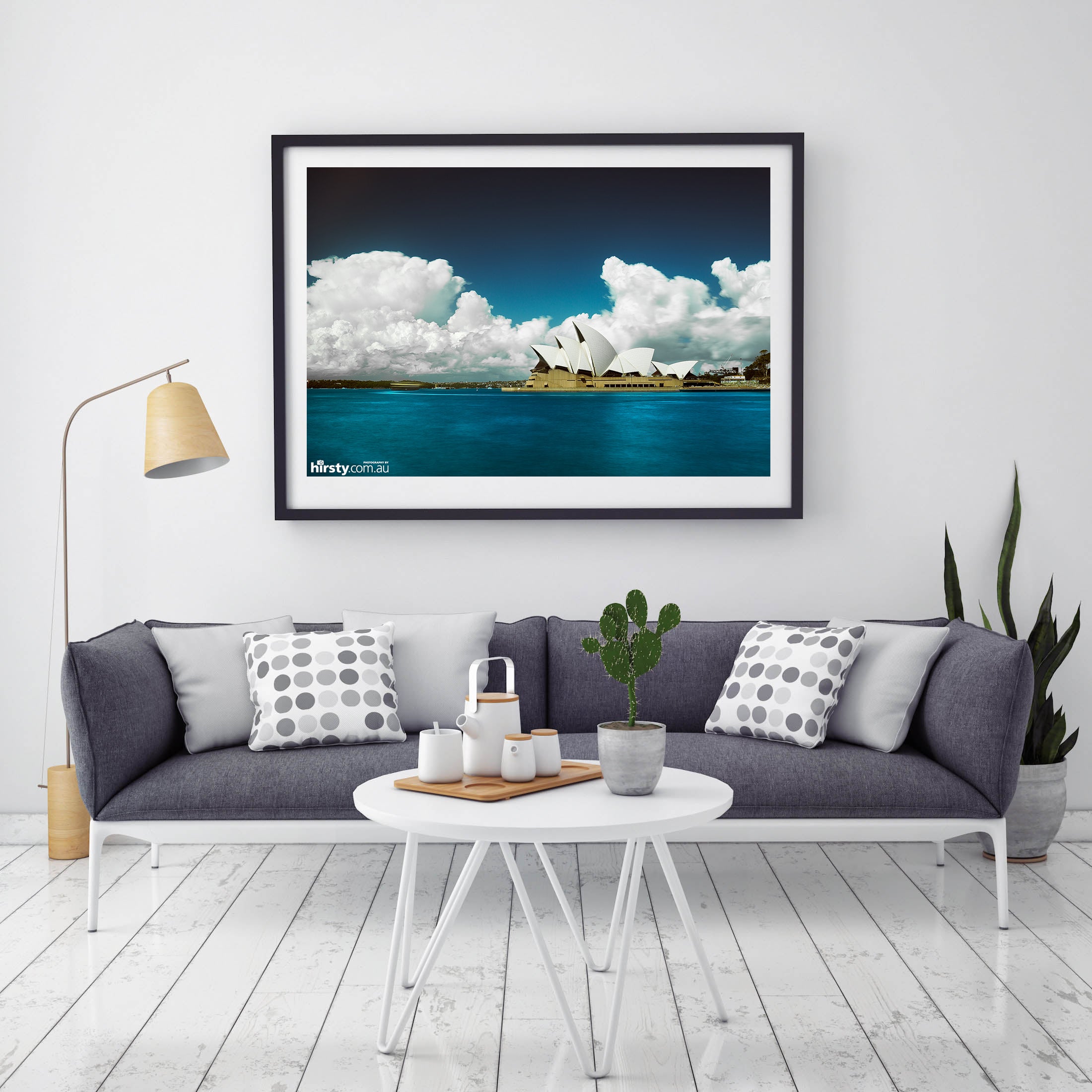 Cotton, Sydney Harbour