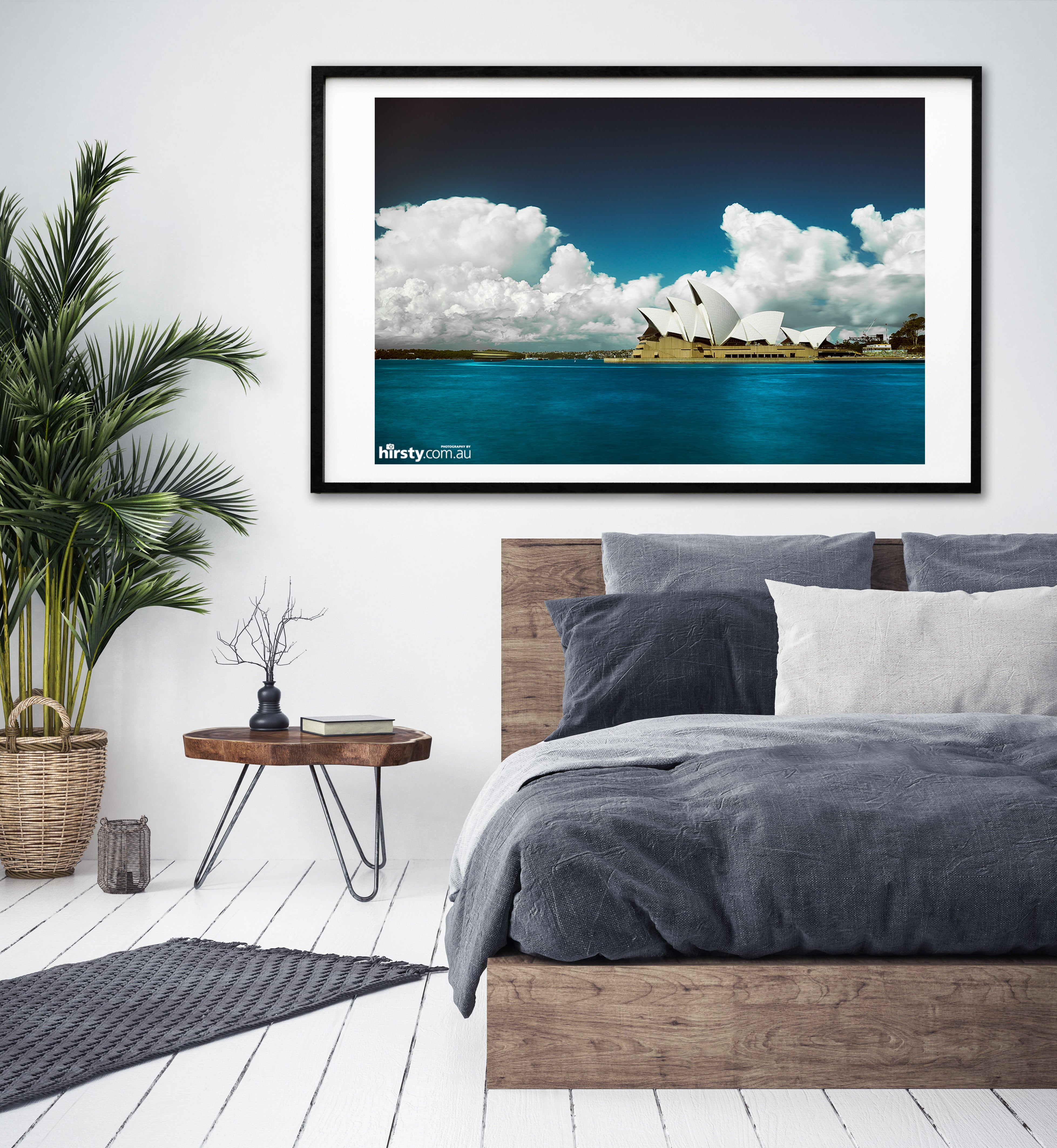 Cotton, Sydney Harbour