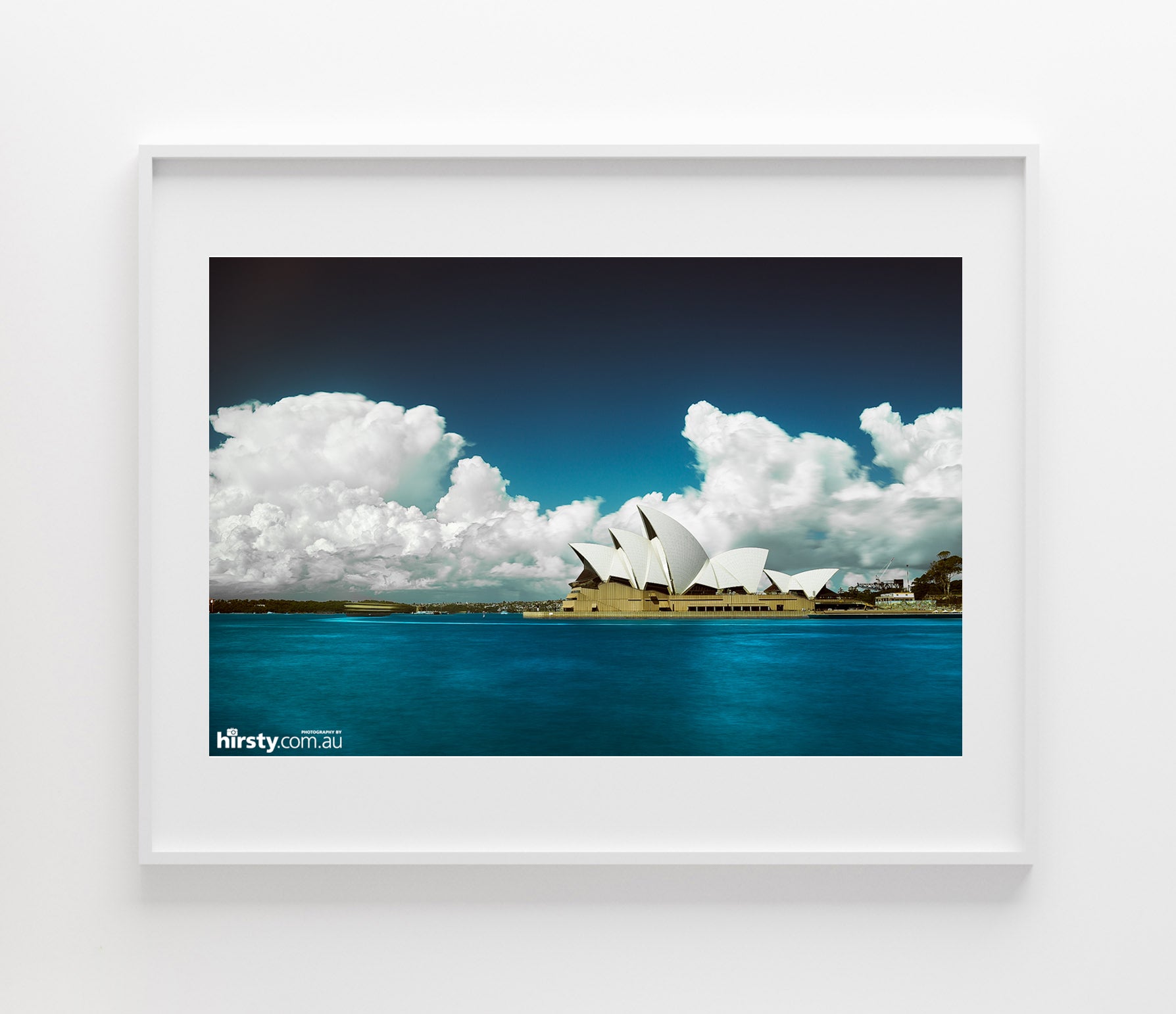Cotton, Sydney Harbour