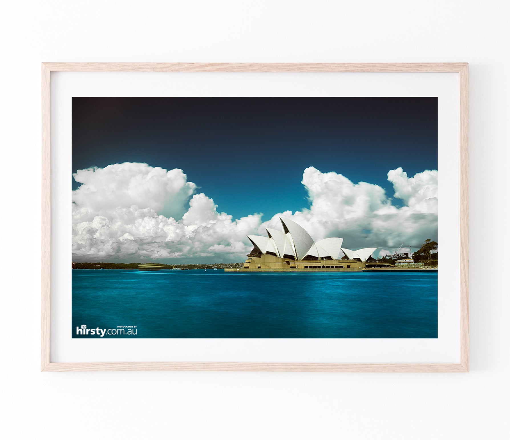 Cotton, Sydney Harbour