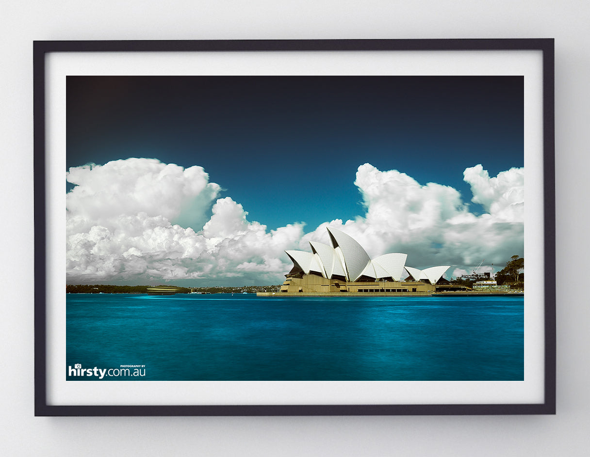 Cotton, Sydney Harbour