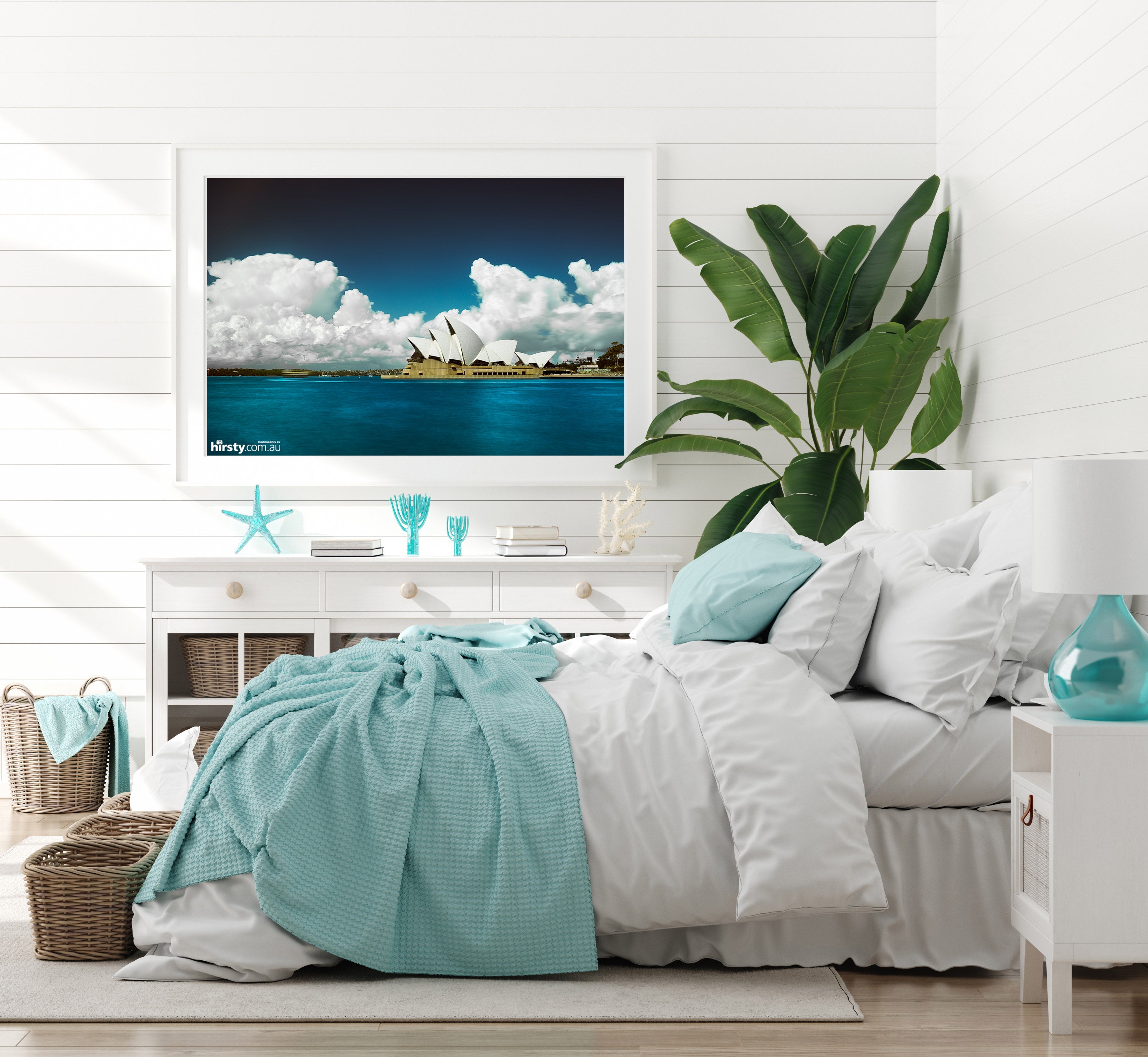 Cotton, Sydney Harbour