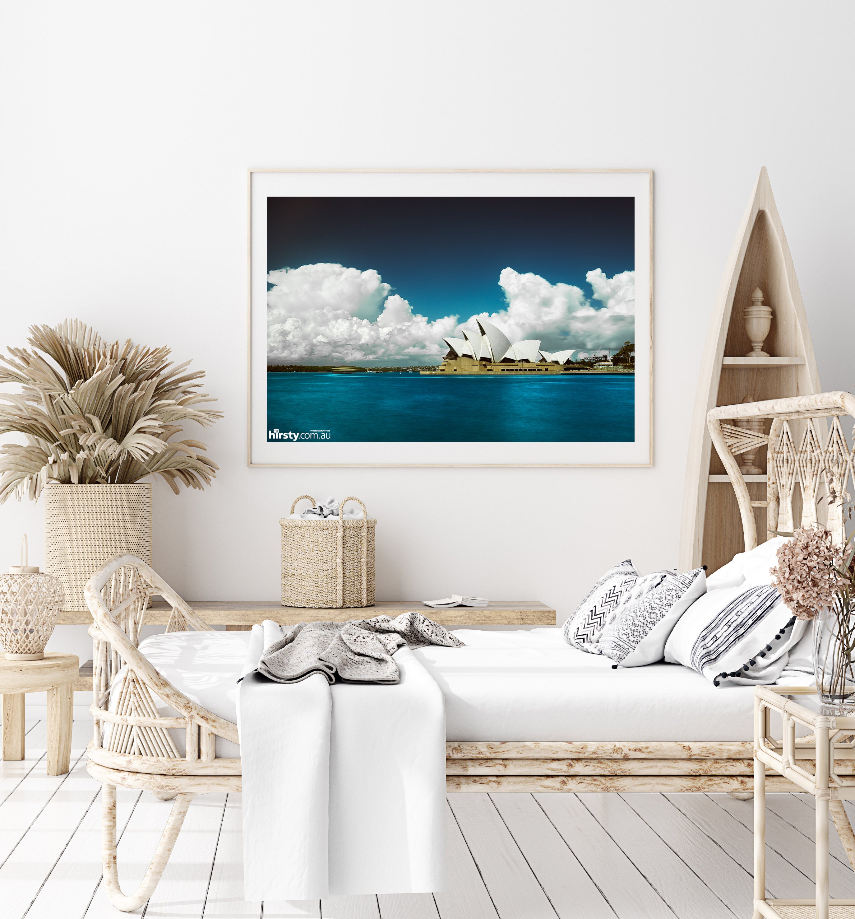 Cotton, Sydney Harbour