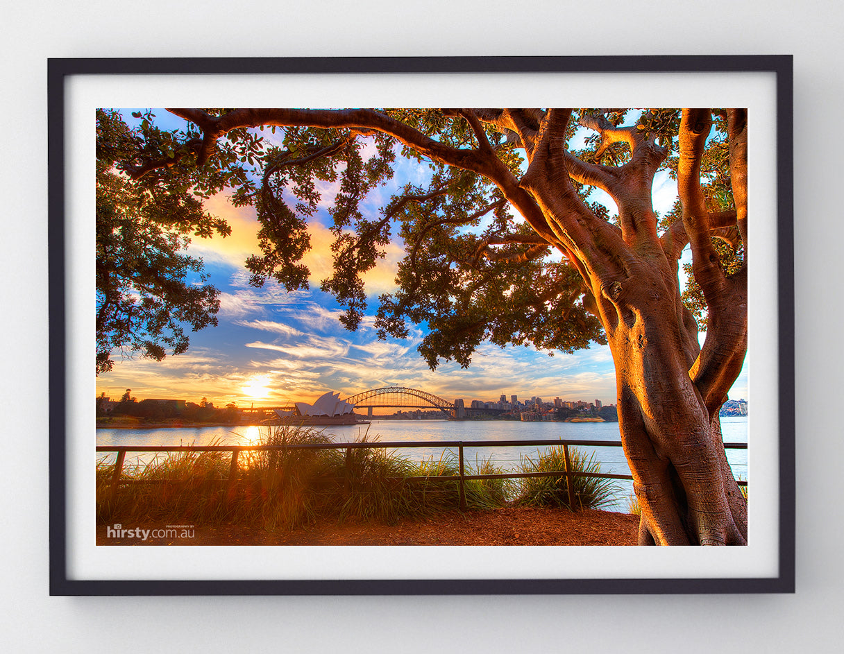 Days End, Sydney Harbour