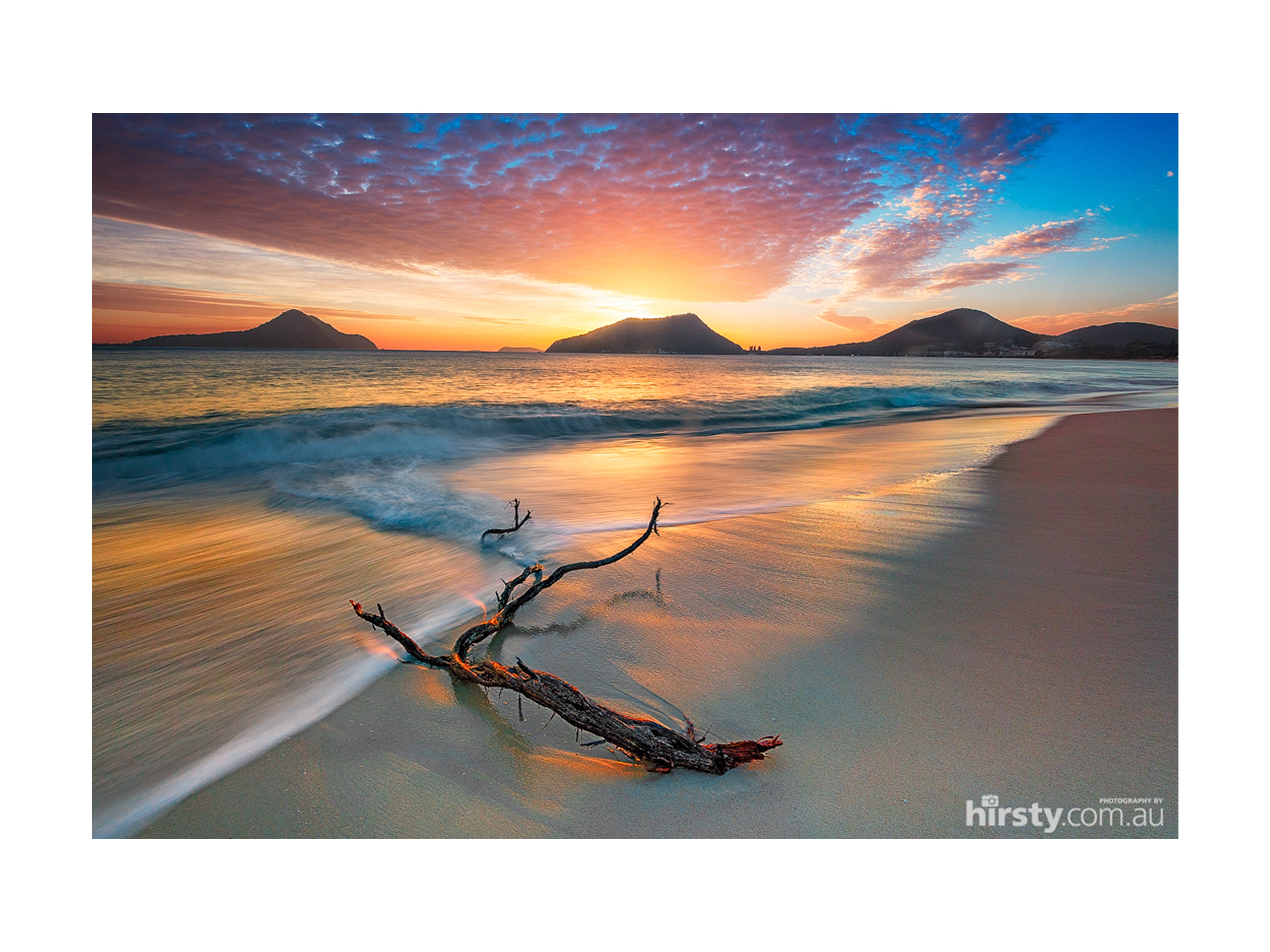 Driftwood, Shoal Bay