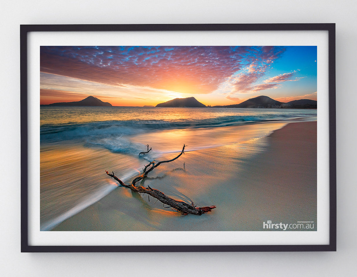 Driftwood, Shoal Bay