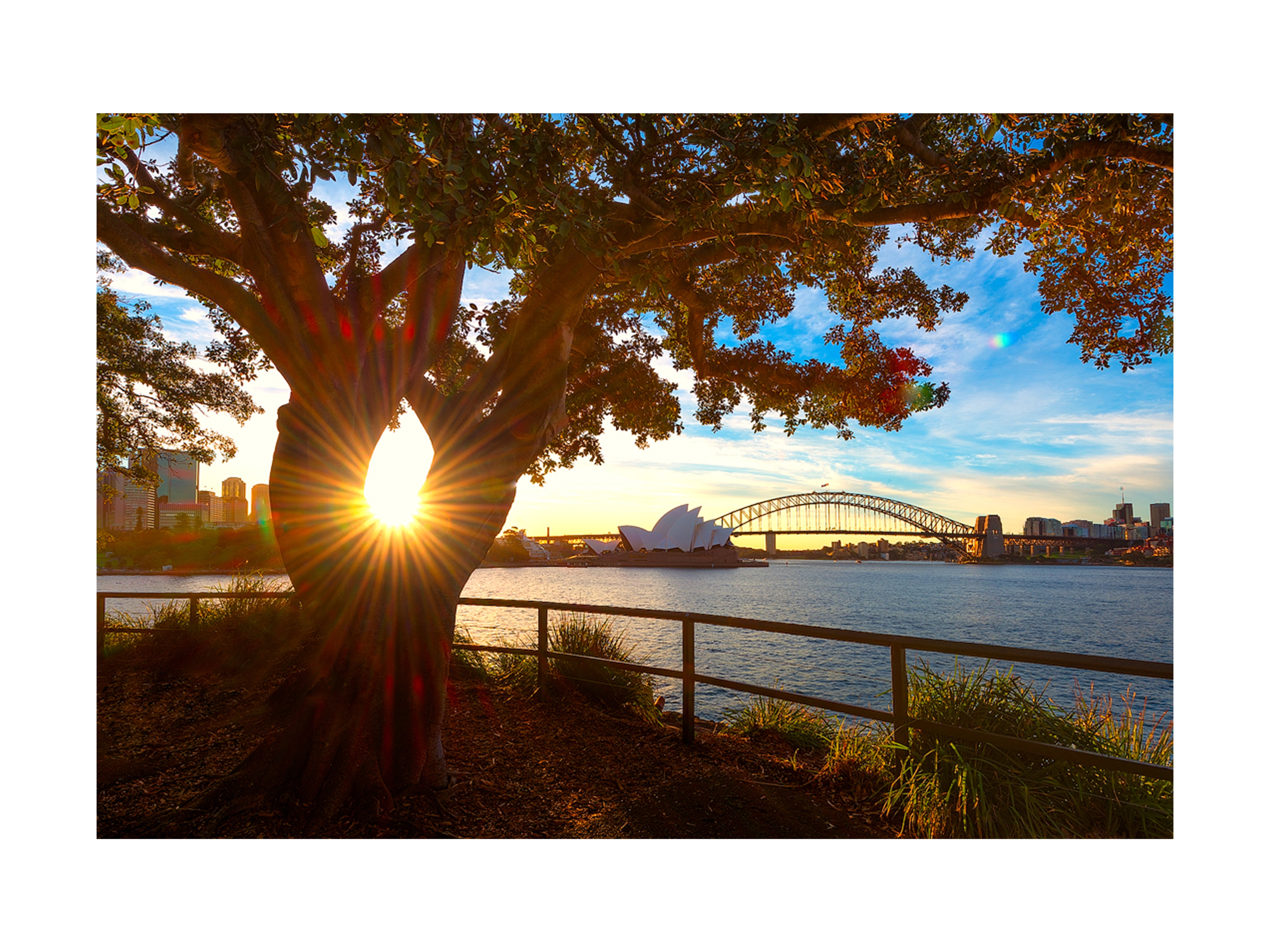 Eye, Sydney Harbour