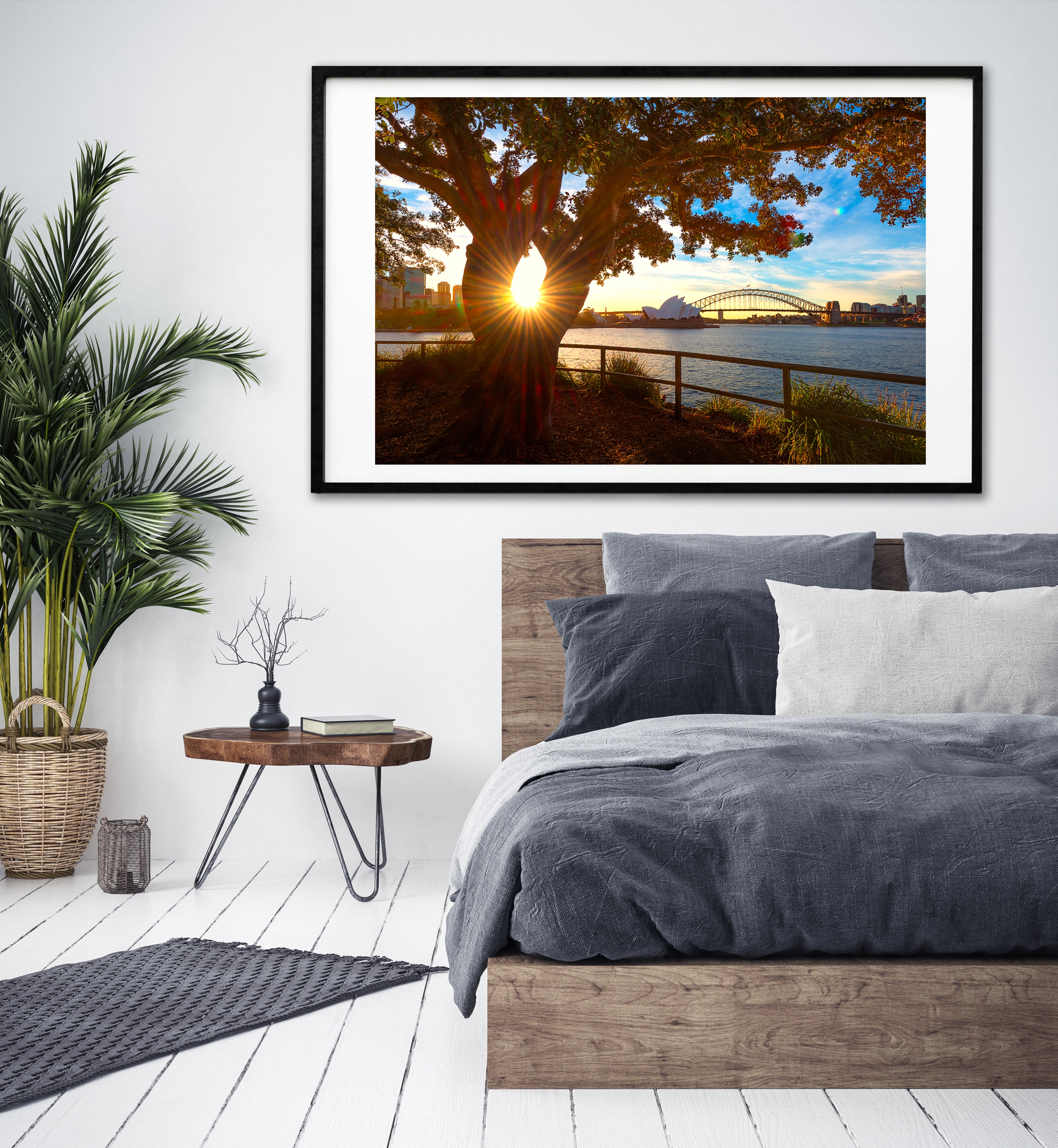 Eye, Sydney Harbour