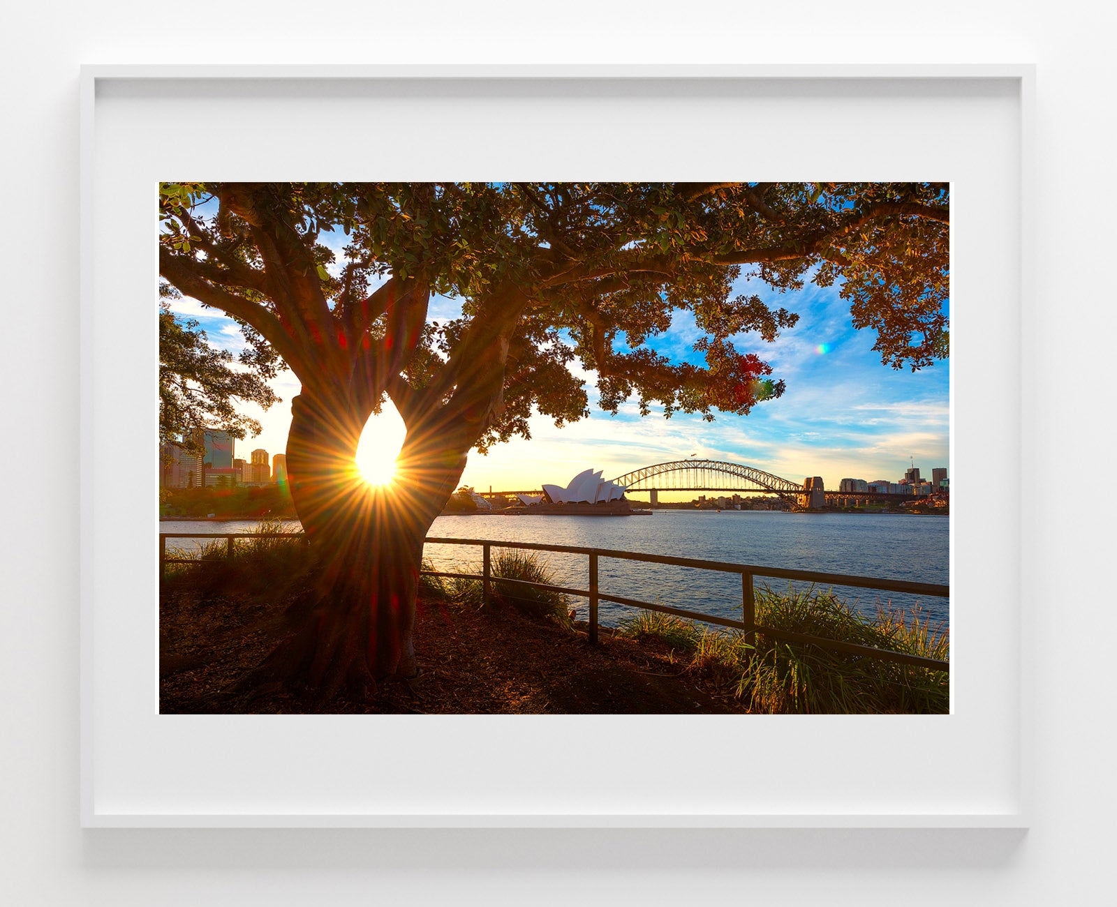 Eye, Sydney Harbour