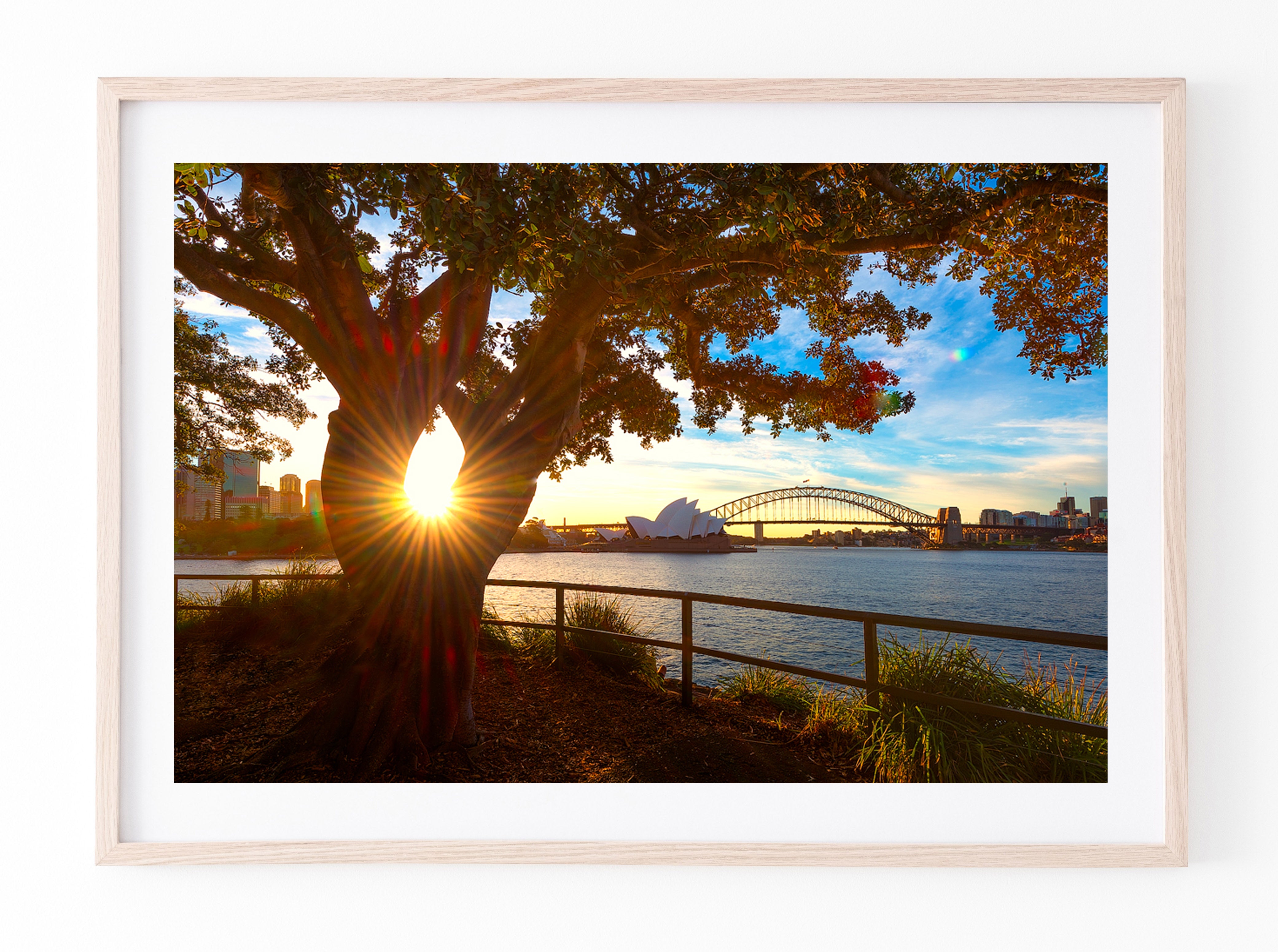 Eye, Sydney Harbour