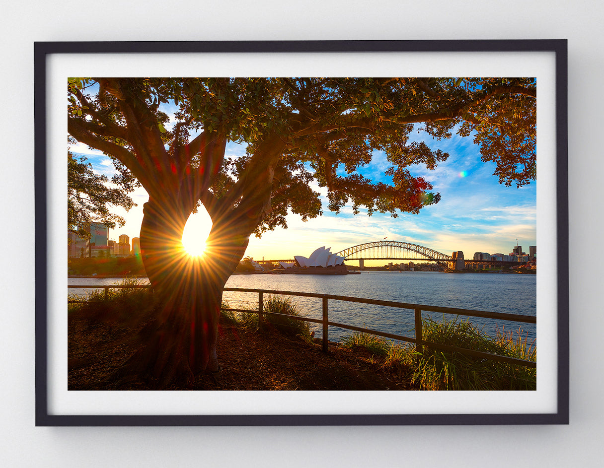 Eye, Sydney Harbour