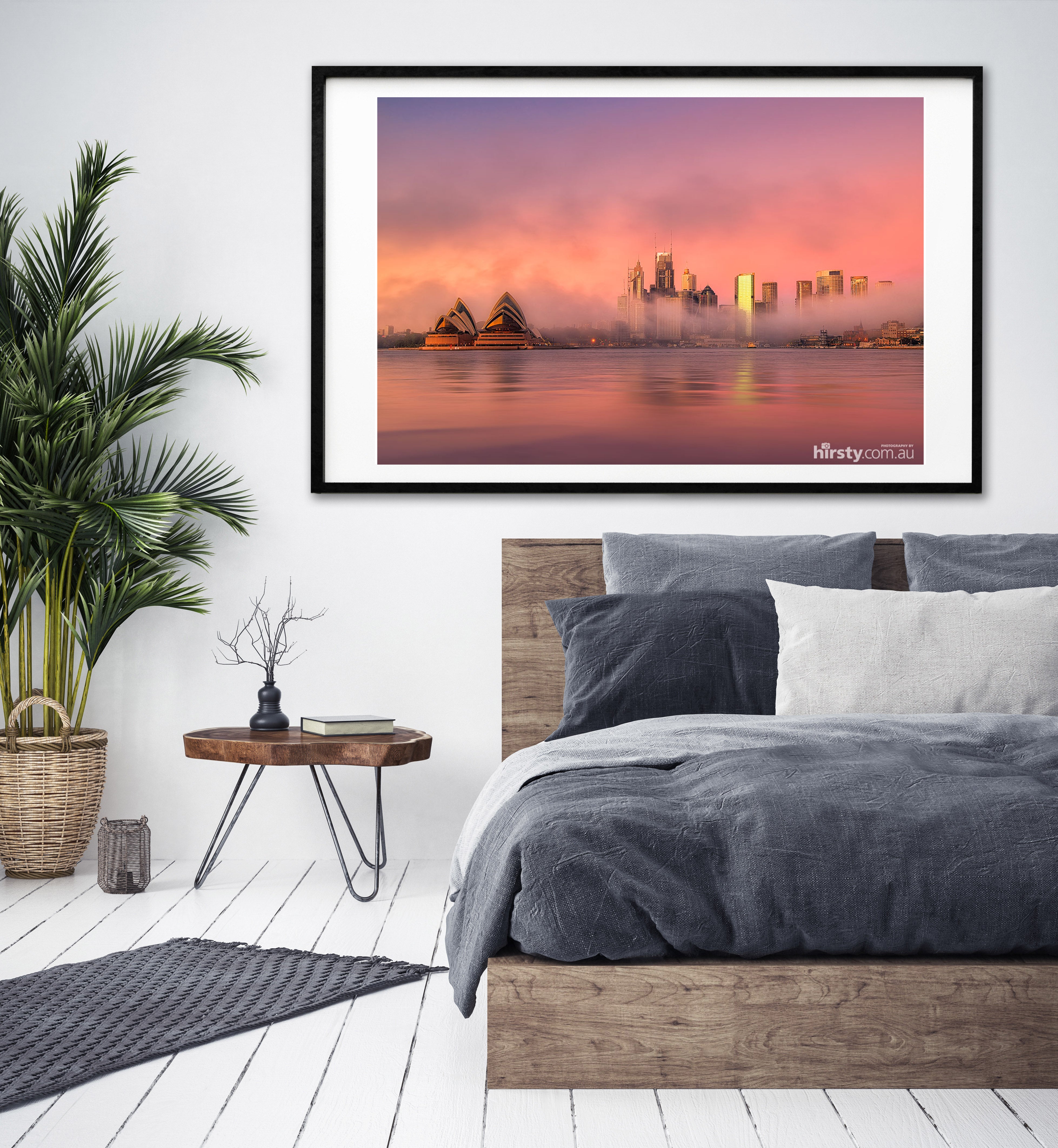 Fairy Floss, Sydney Harbour