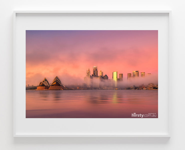 Fairy Floss, Sydney Harbour