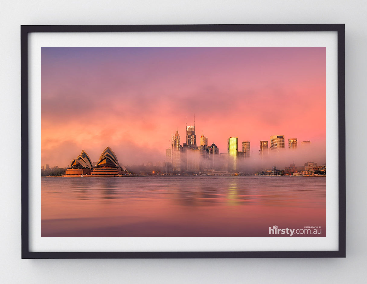 Fairy Floss, Sydney Harbour