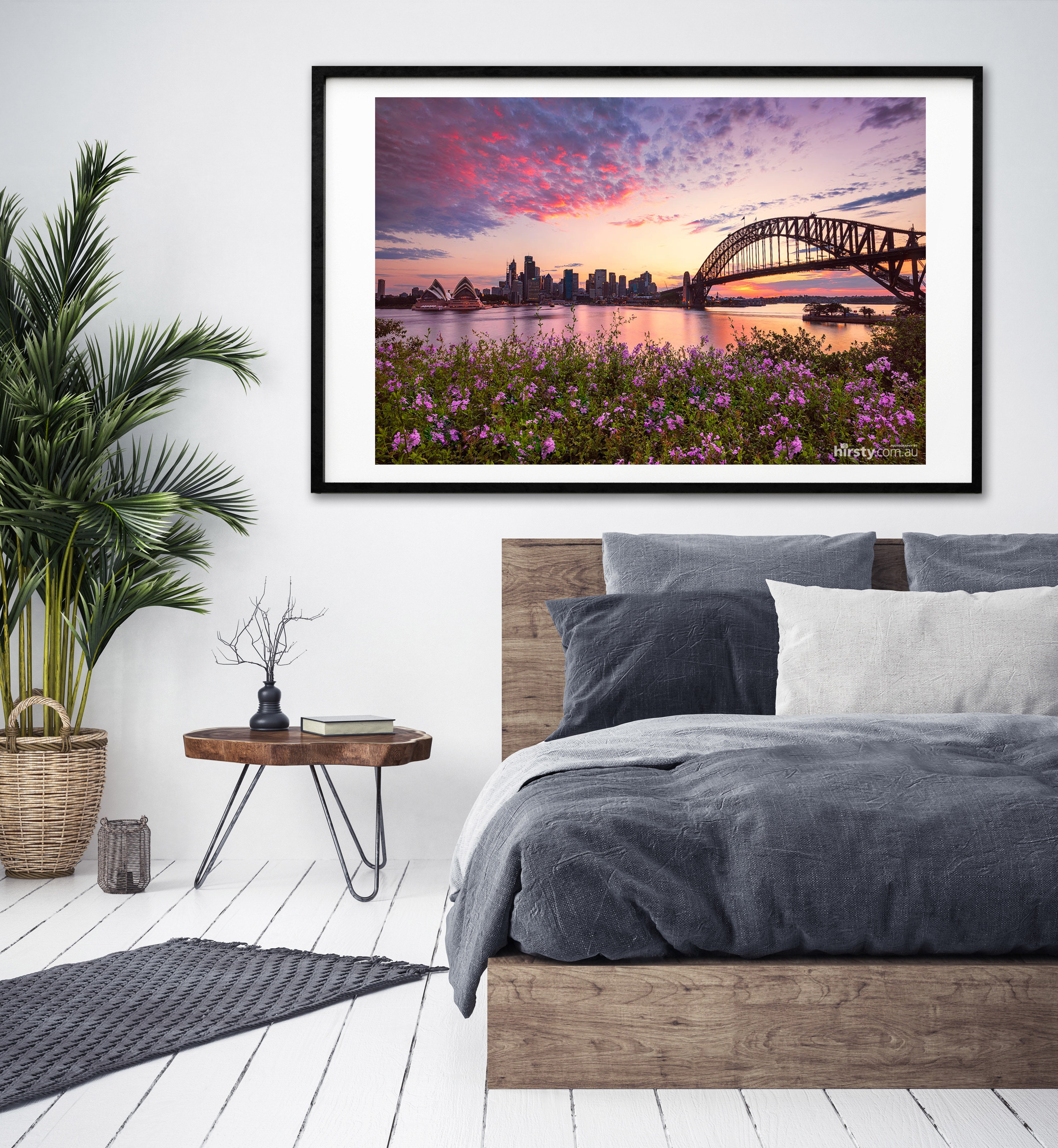 Flowers, Sydney Harbour