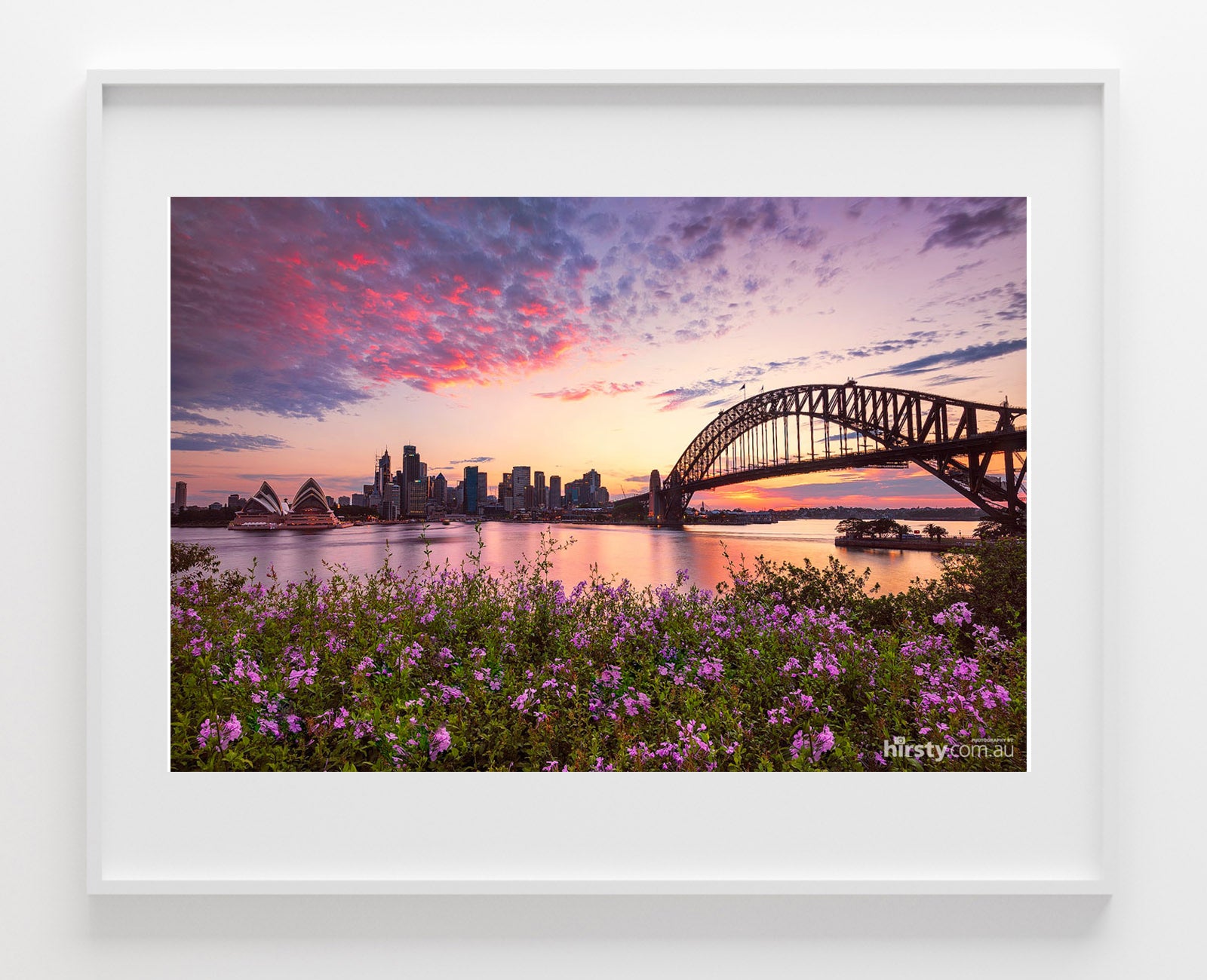 Flowers, Sydney Harbour