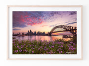 Flowers, Sydney Harbour