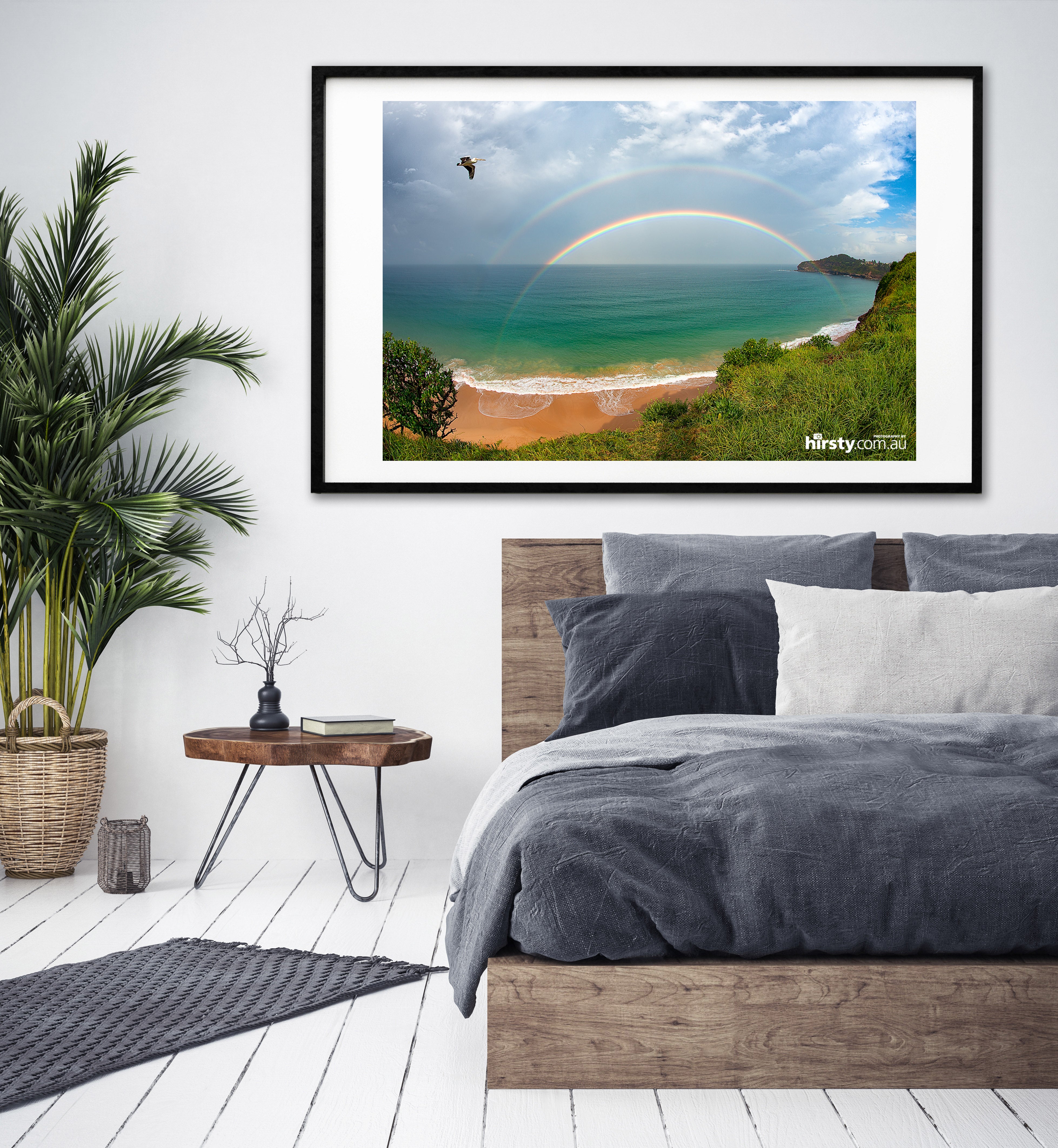 Fly By, Mona Vale Beach
