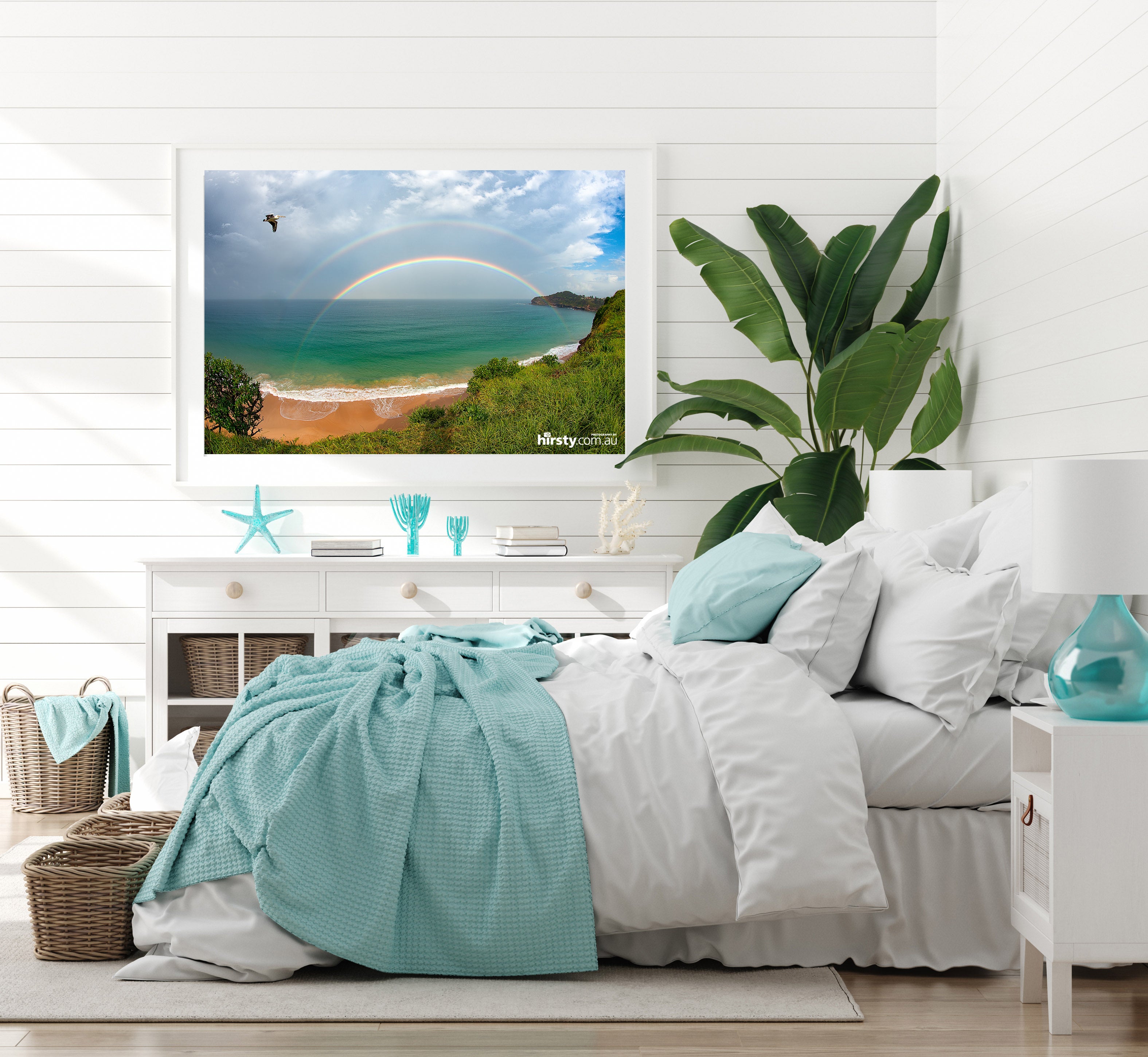 Fly By, Mona Vale Beach