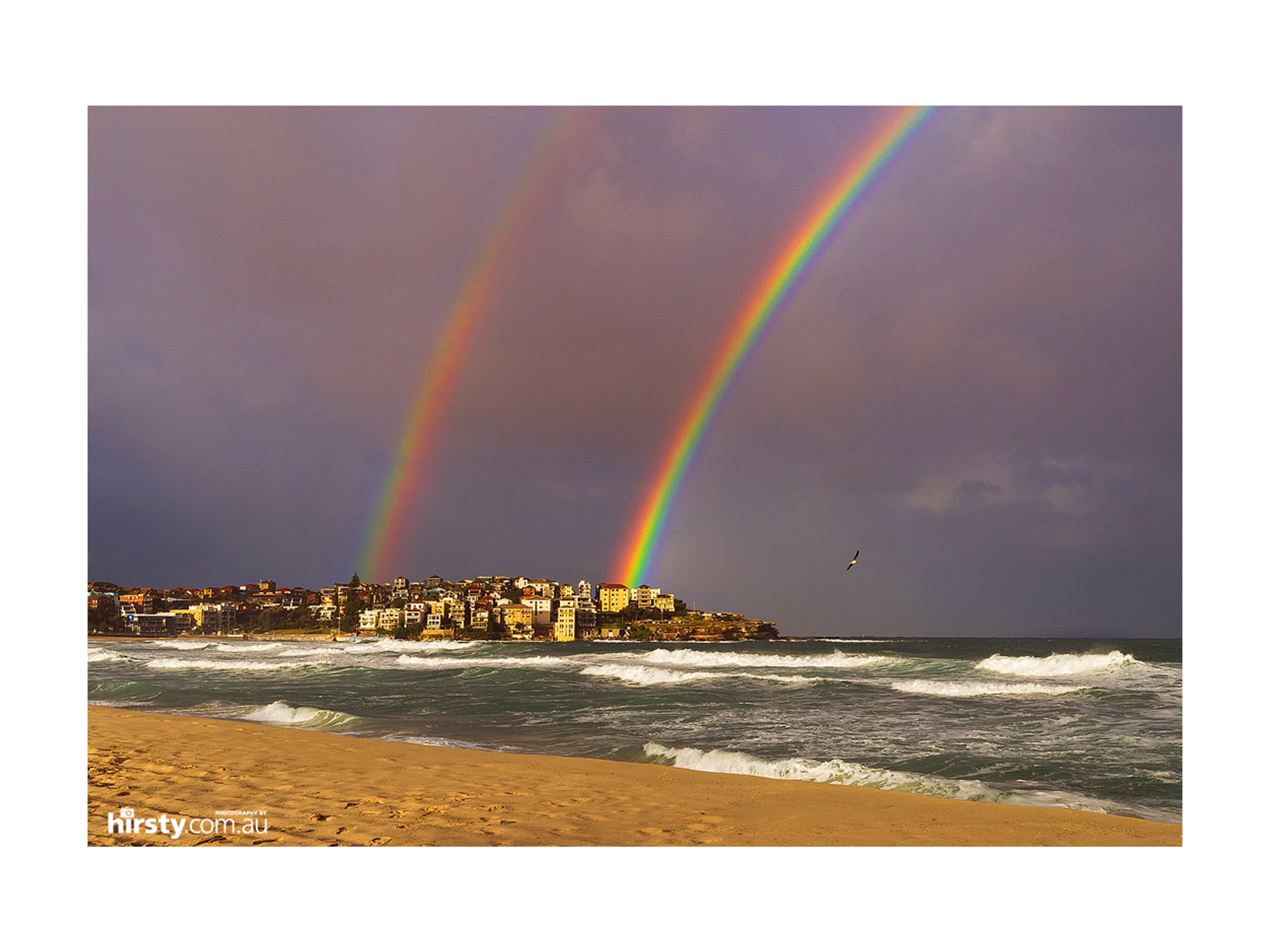 Flying By, Bondi Beach