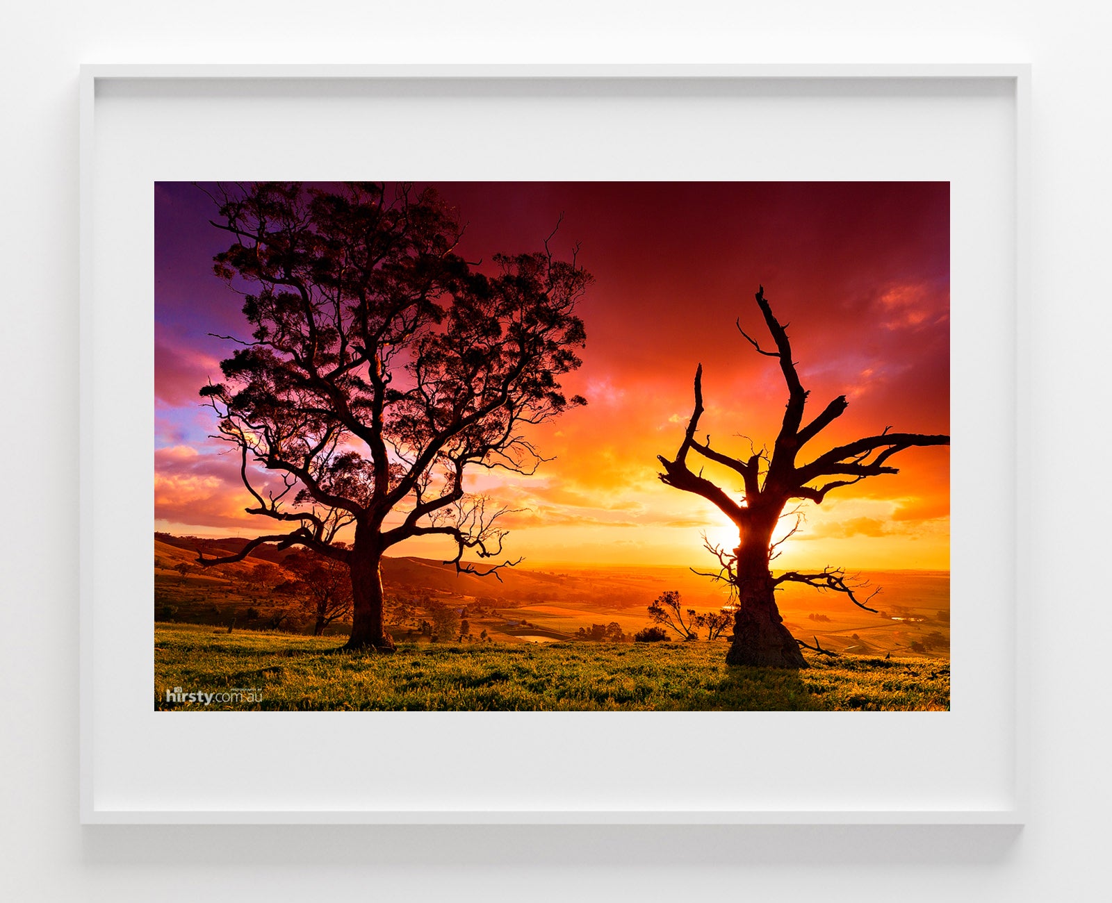 Friends, Barossa Valley