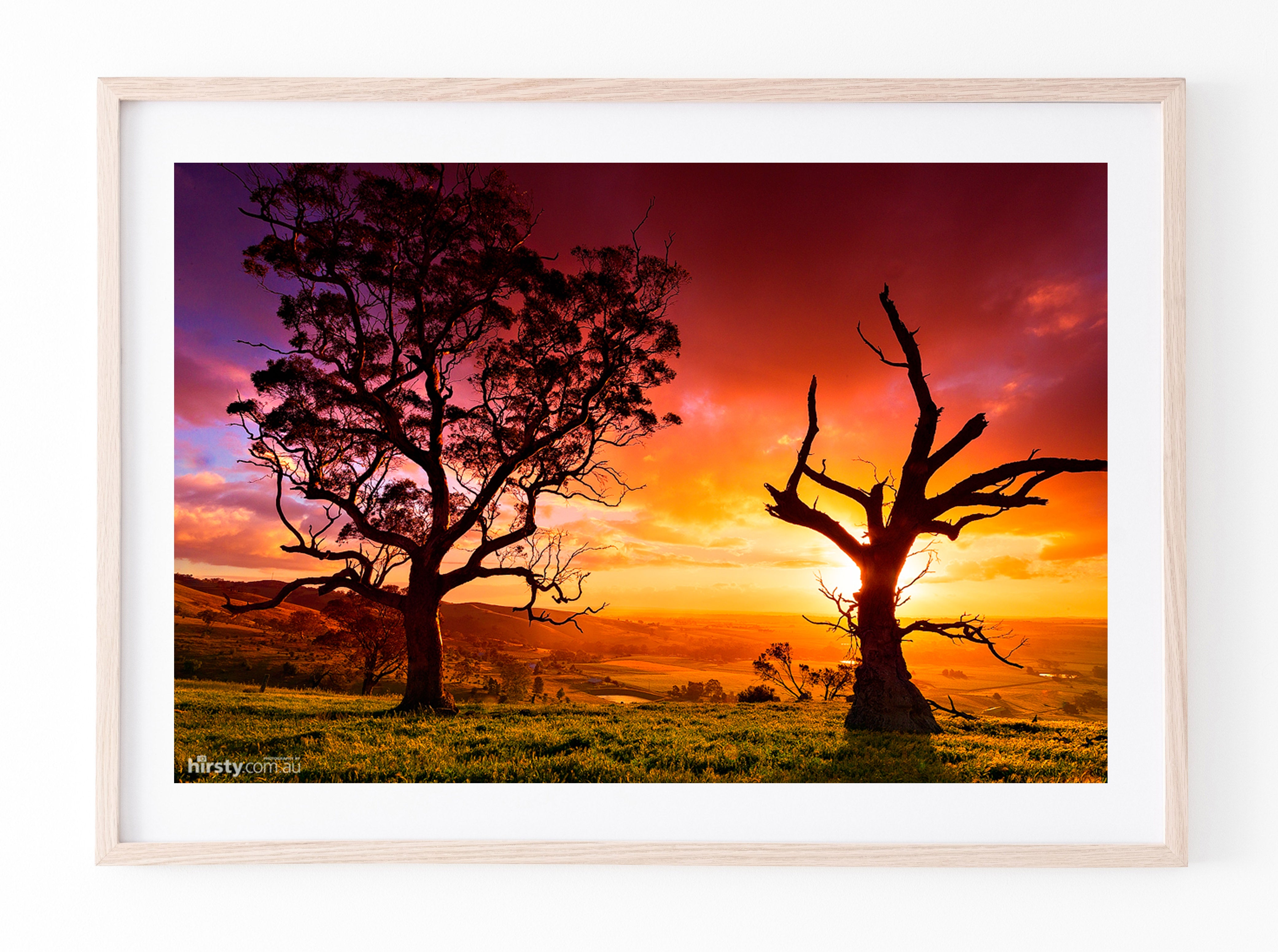 Friends, Barossa Valley