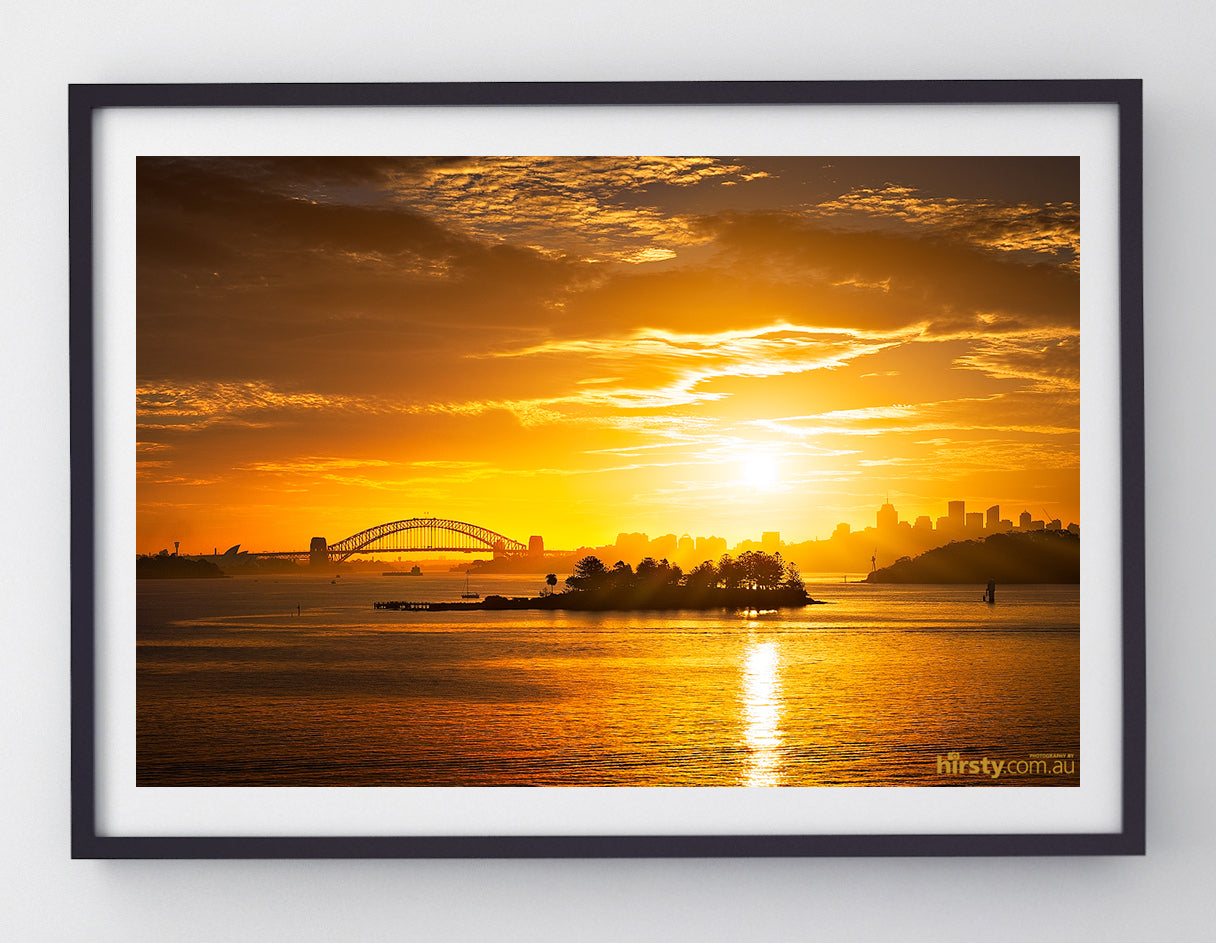 Golden Harbour, Sydney Harbour