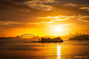 Golden Harbour, Sydney Harbour