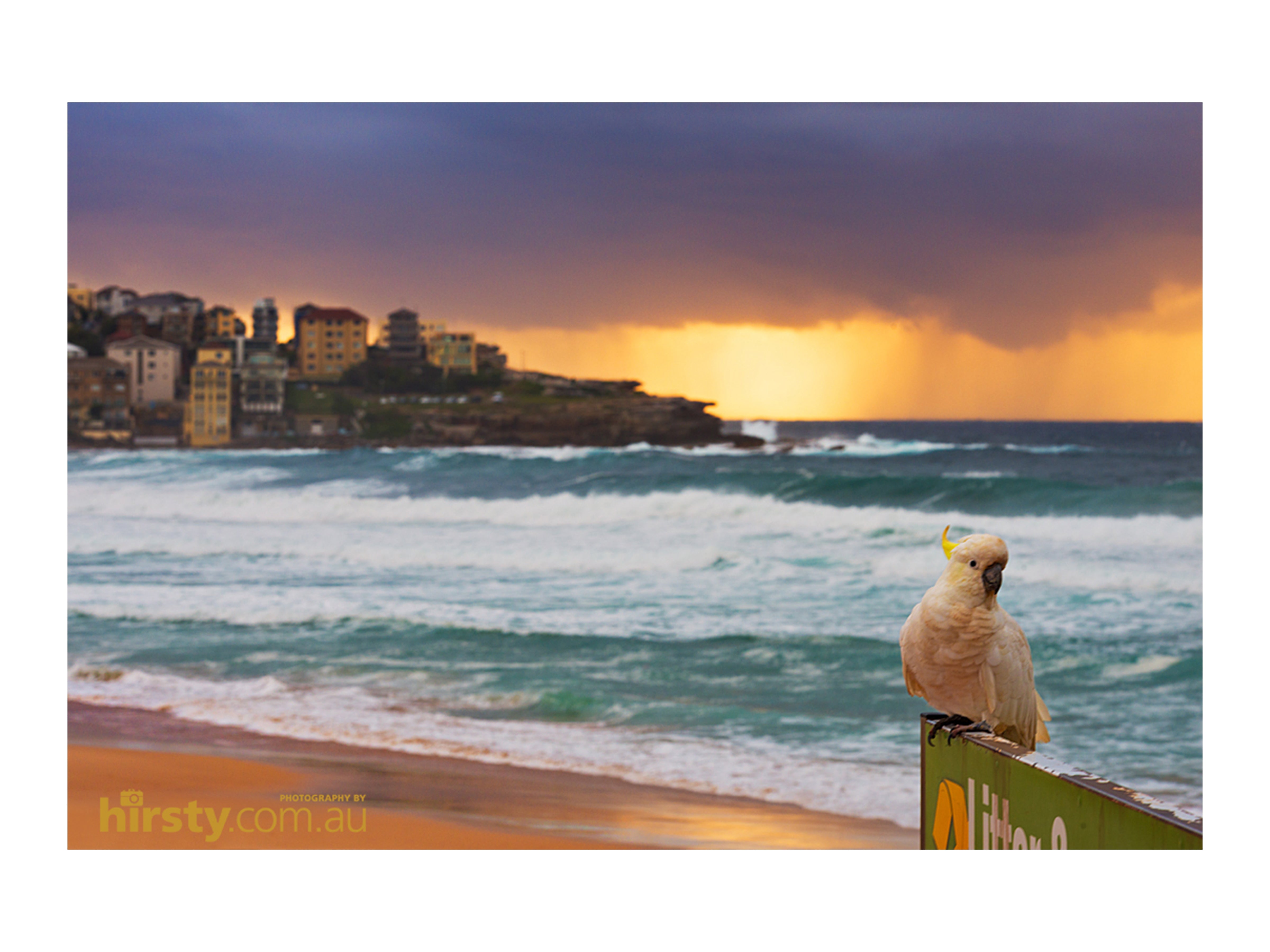 Pose, Bondi Beach