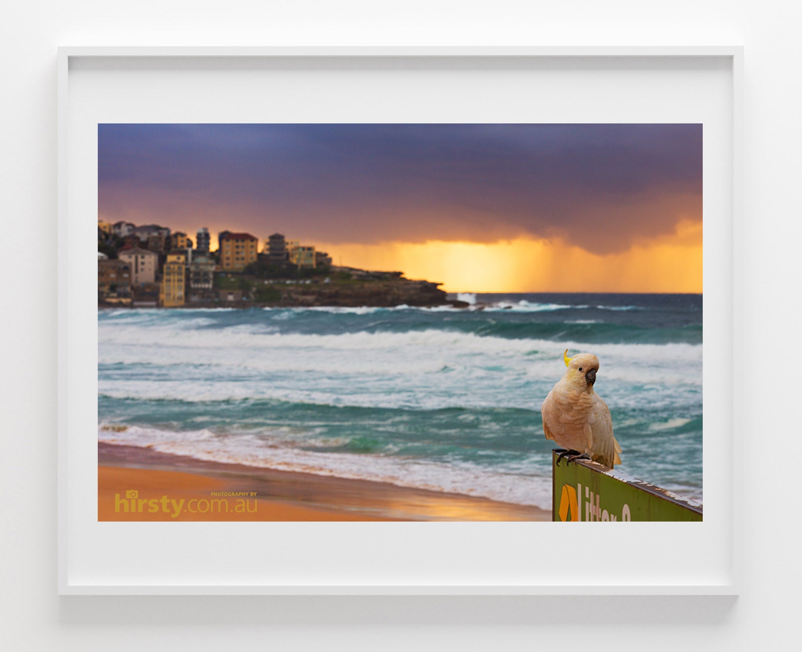 Pose, Bondi Beach