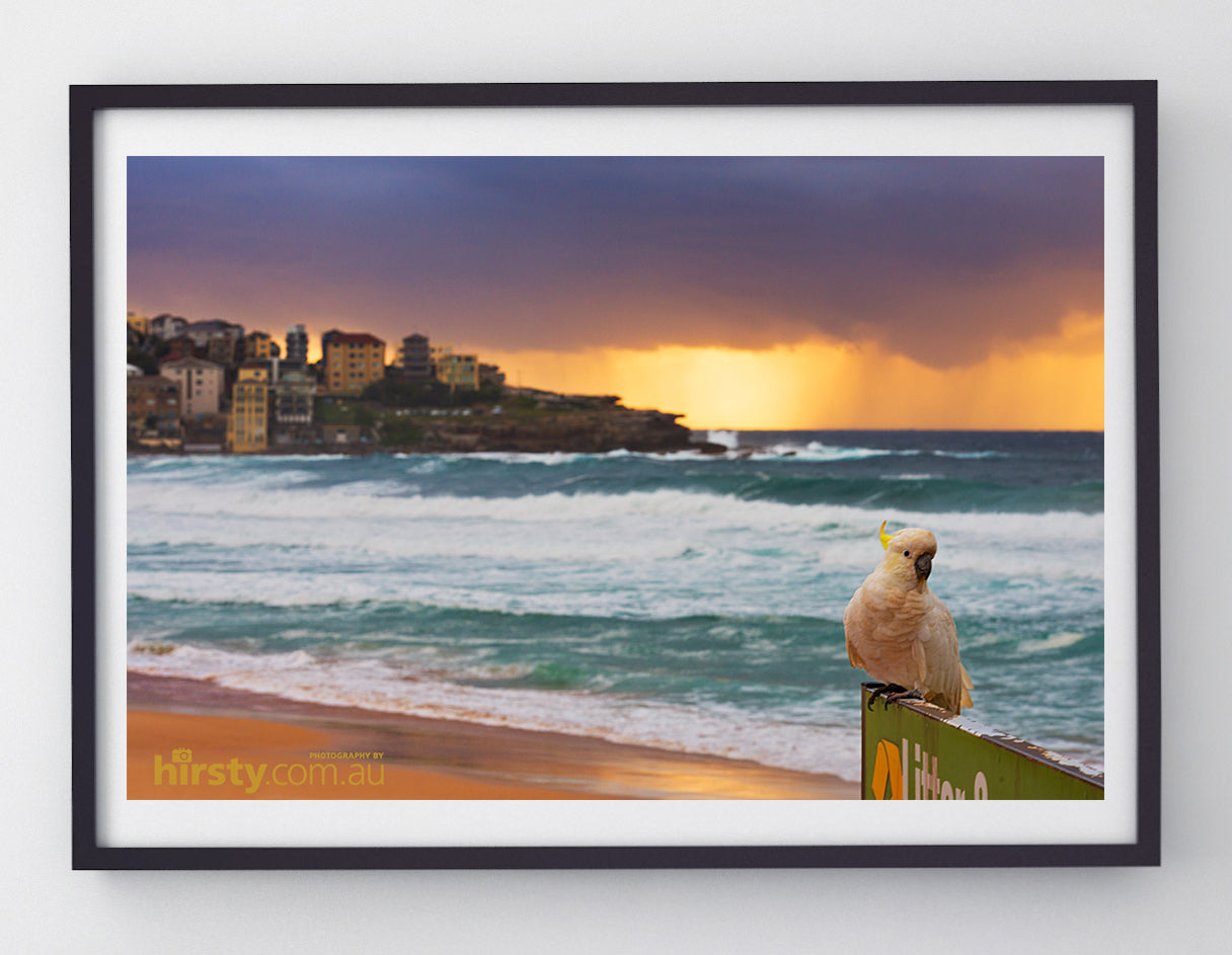 Pose, Bondi Beach