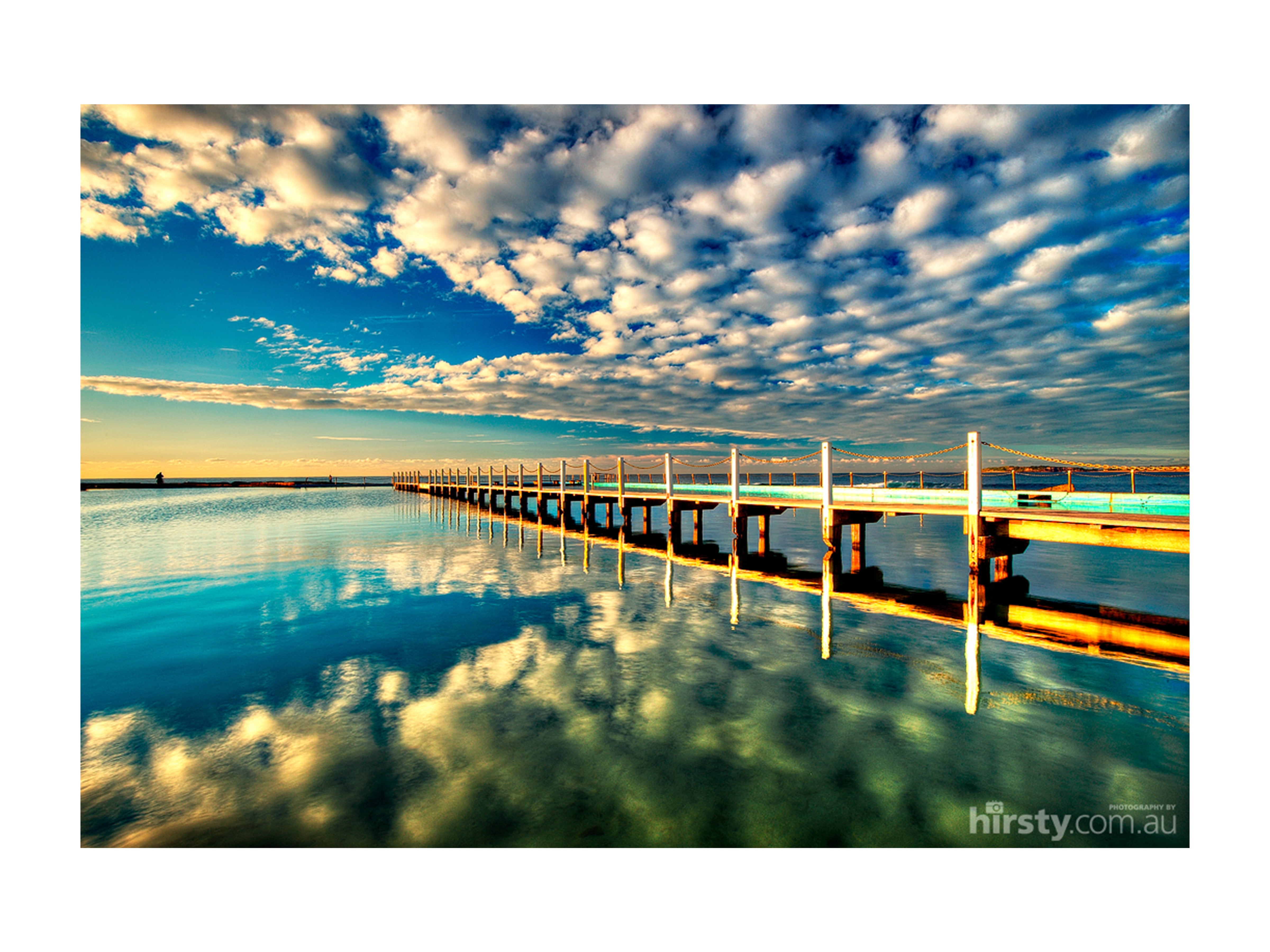 Puffed Up, Narrabeen Rock Pool