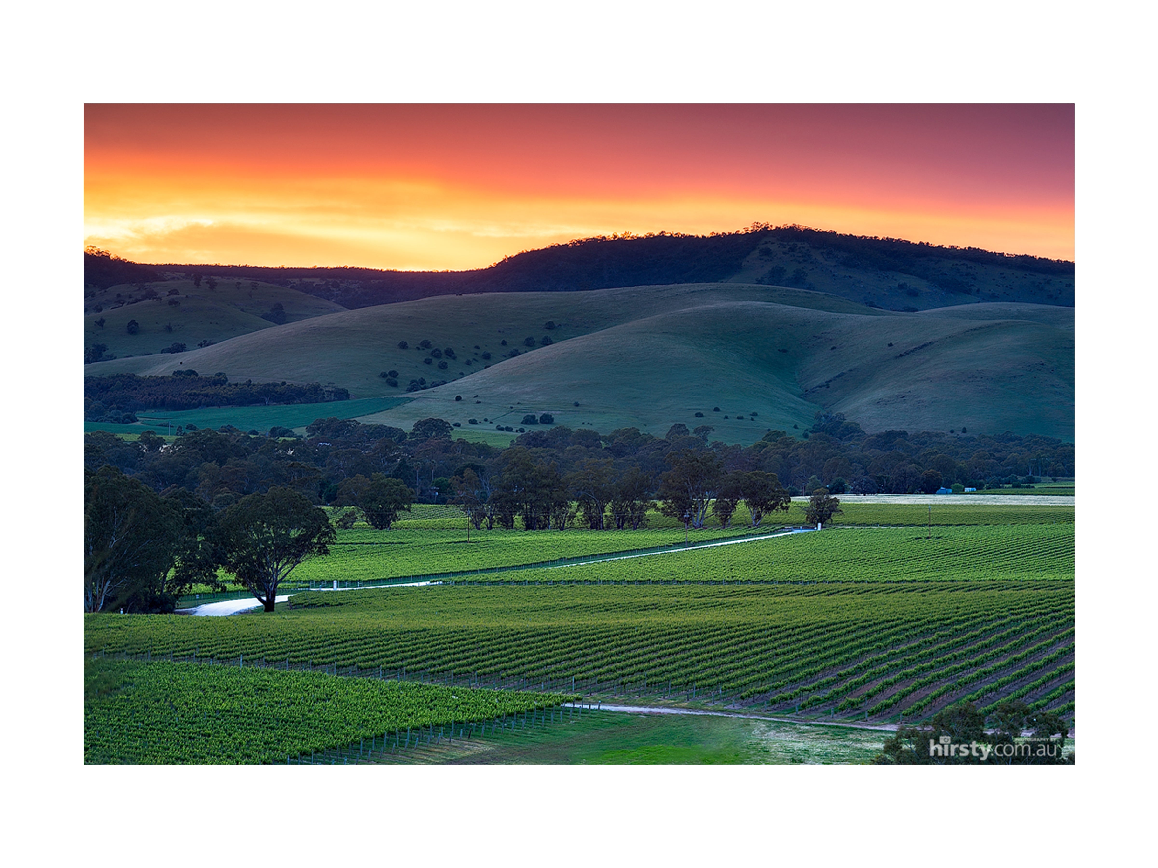 Rolling Hills, Barossa Valley