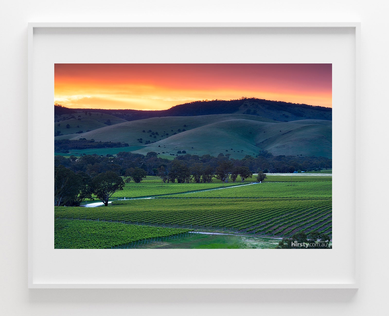 Rolling Hills, Barossa Valley
