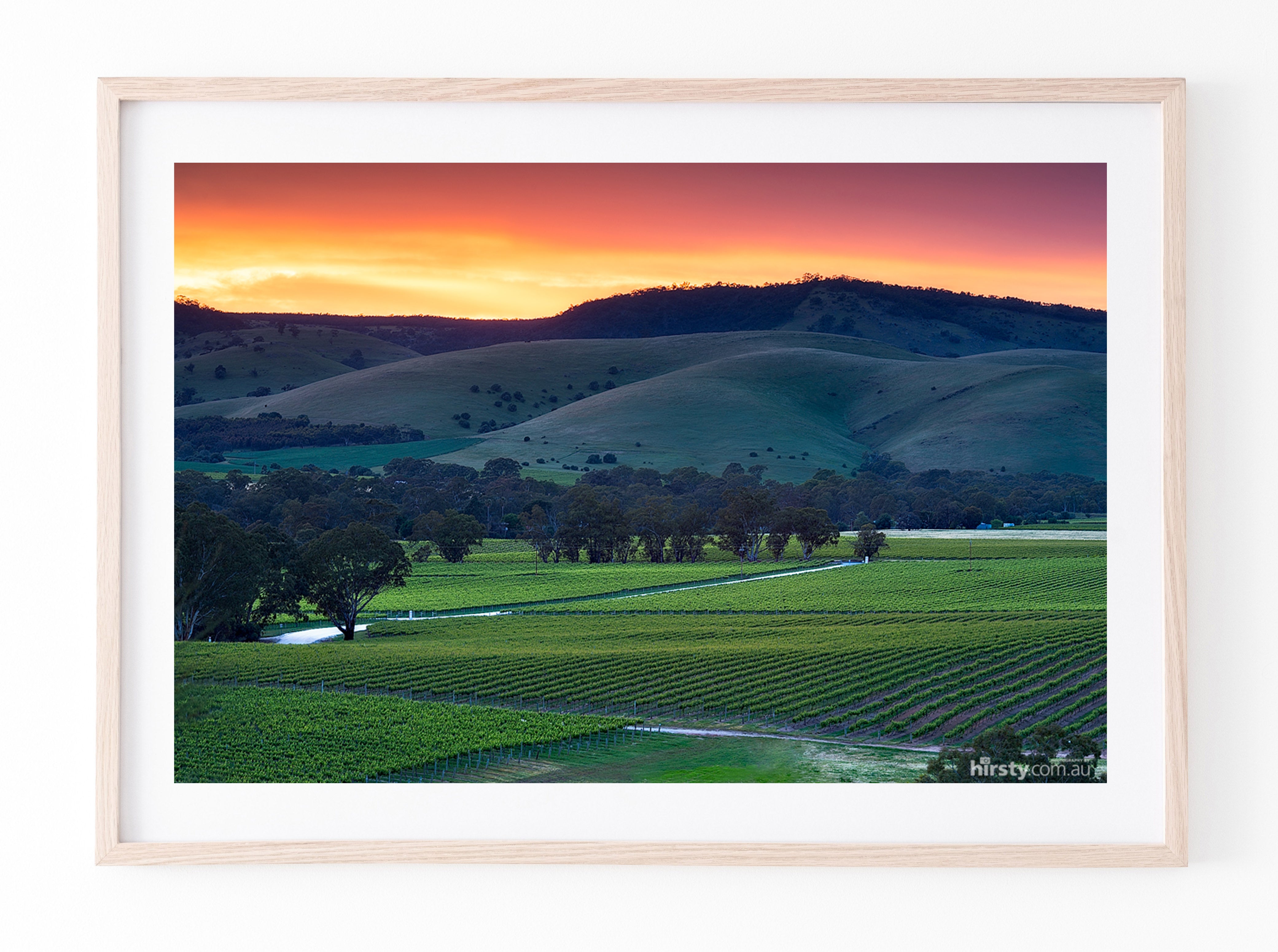 Rolling Hills, Barossa Valley