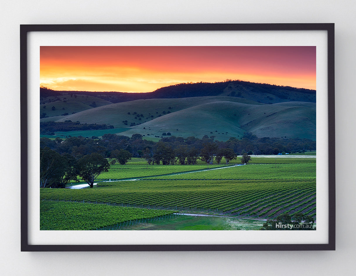 Rolling Hills, Barossa Valley