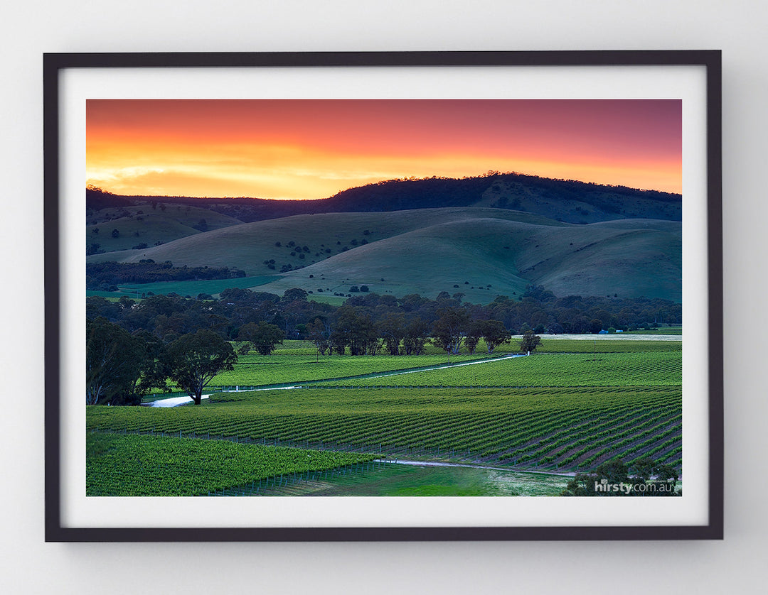 Rolling Hills, Barossa Valley, fine art photograph by Richard Hirst